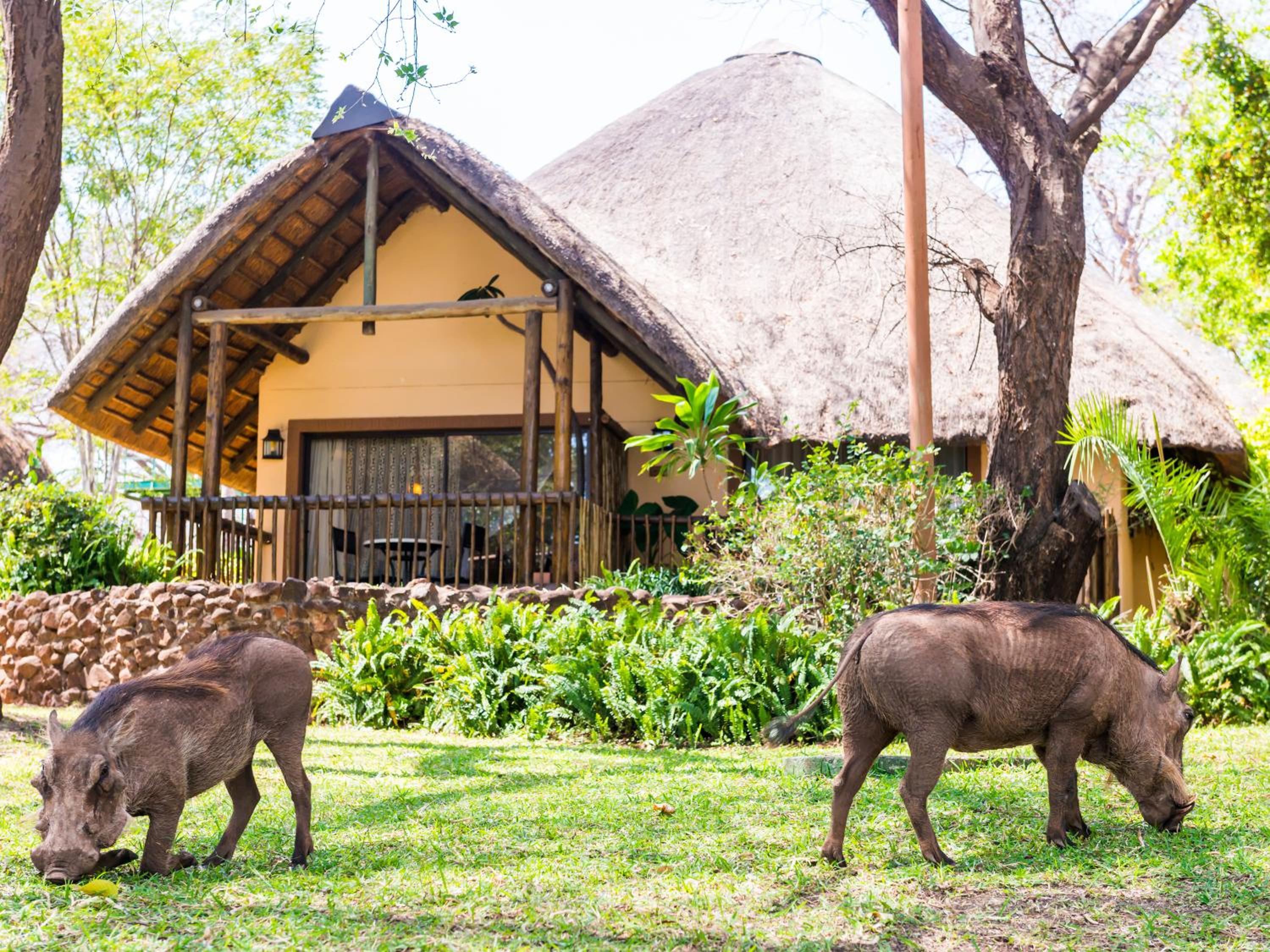 Chobe Marina Lodge