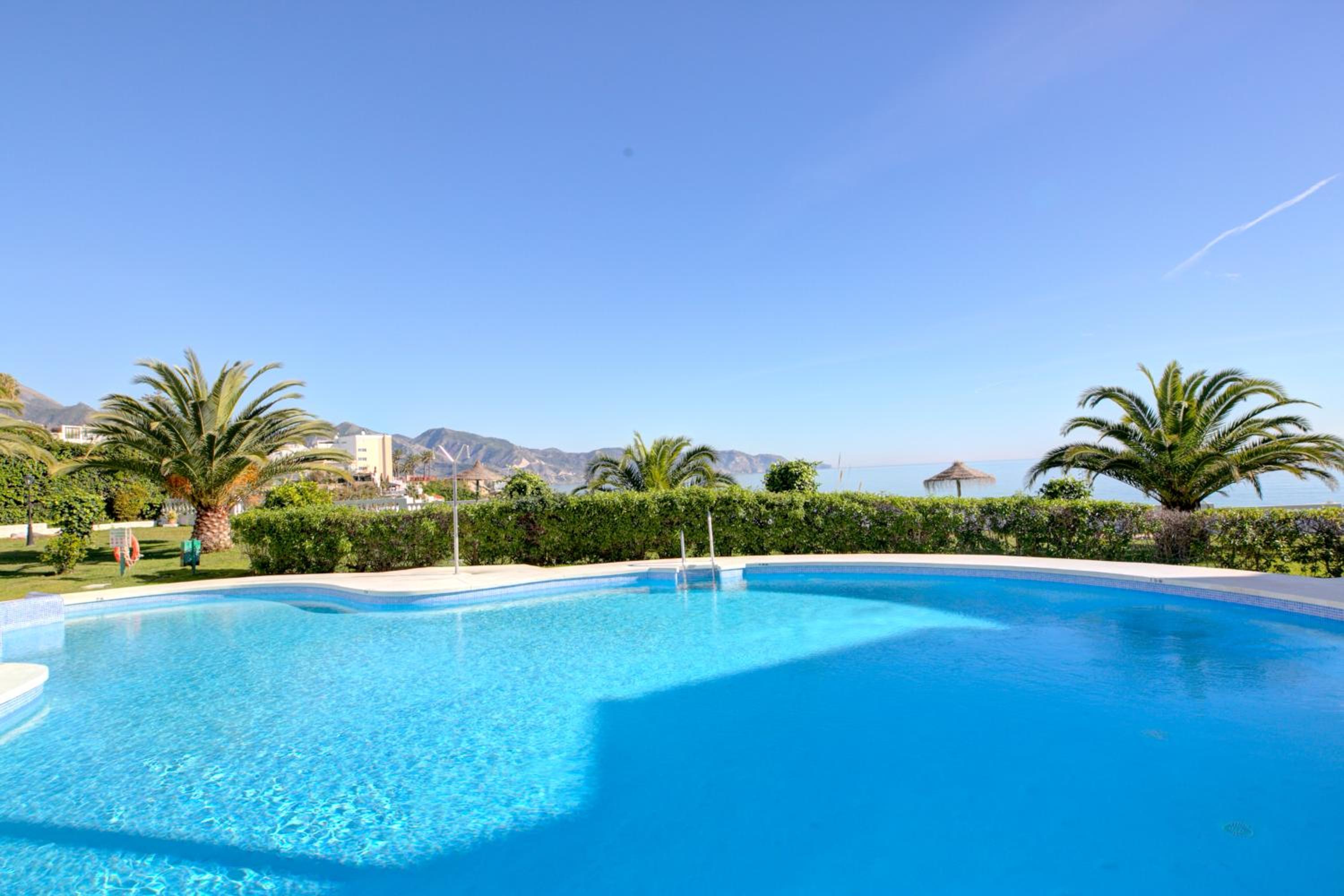 Apartamento Las Palmeras