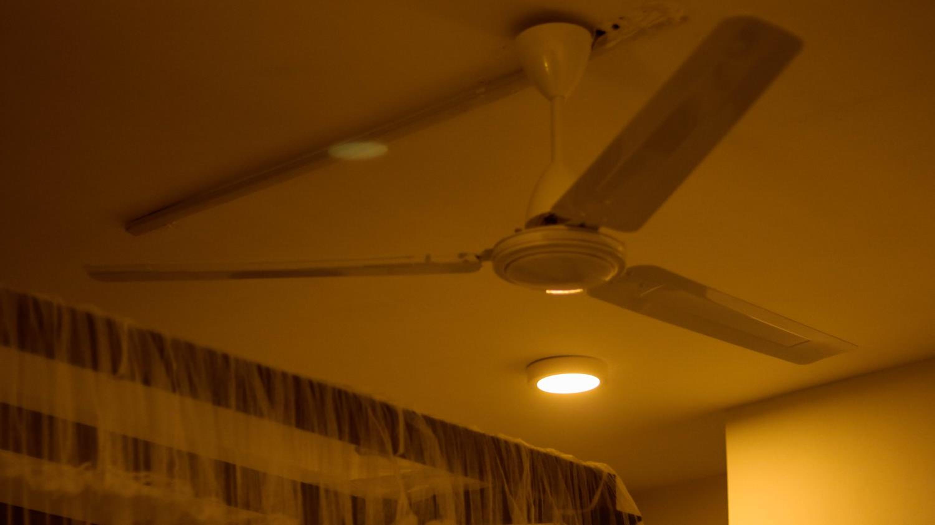Photo 22