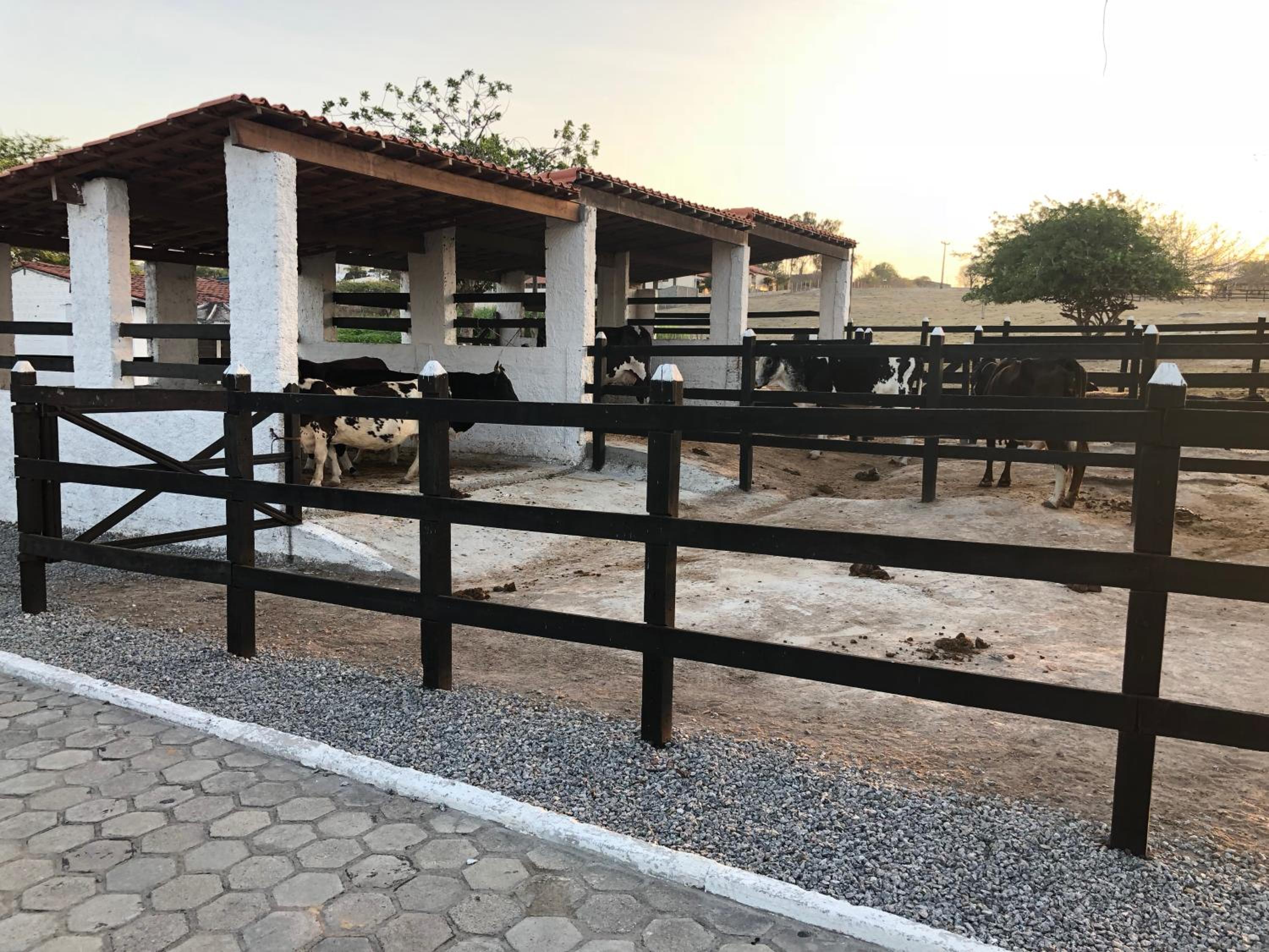 Villa Hípica FLAT 601 - Gravatá, PE