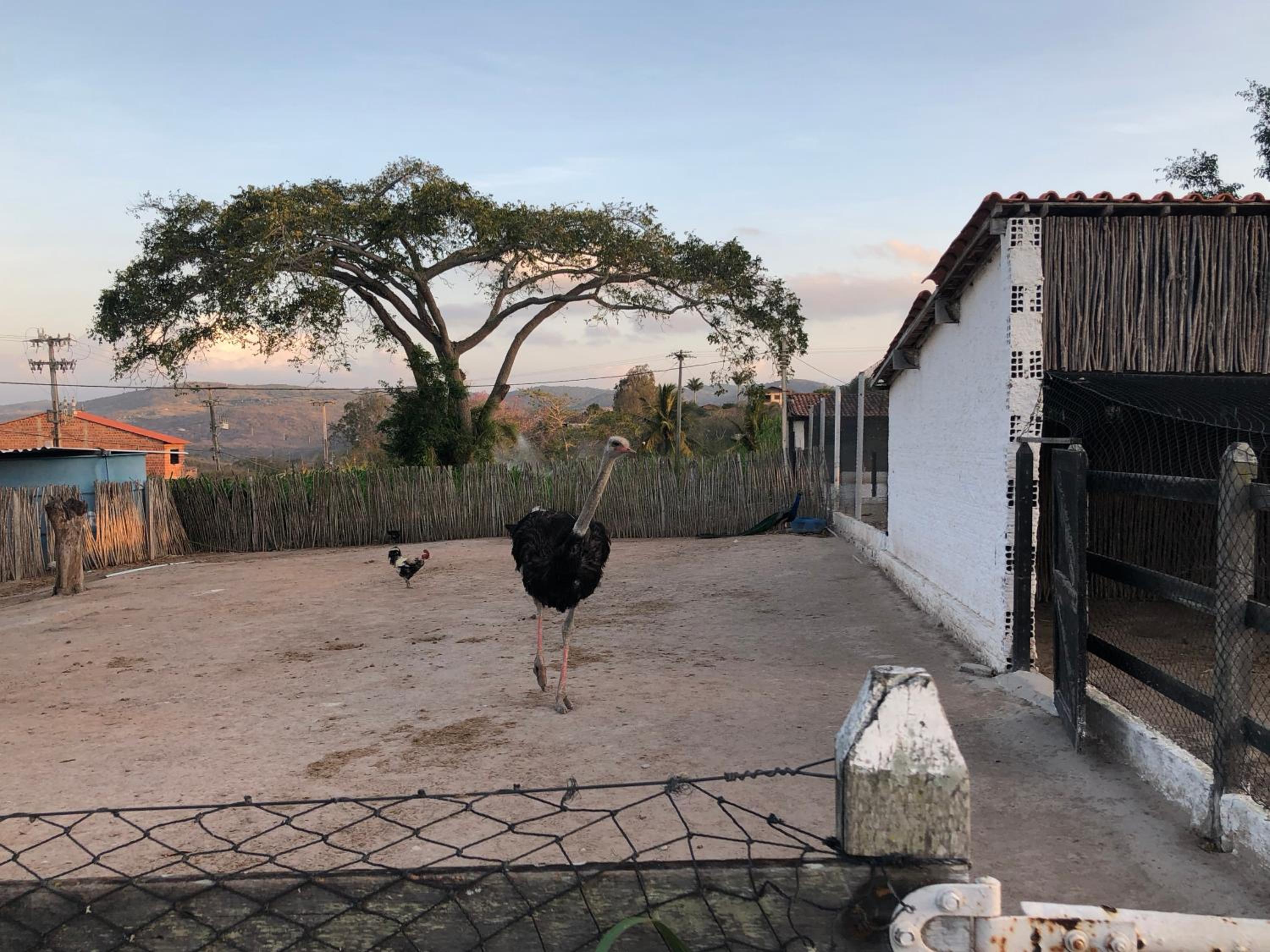 Villa Hípica FLAT 601 - Gravatá, PE