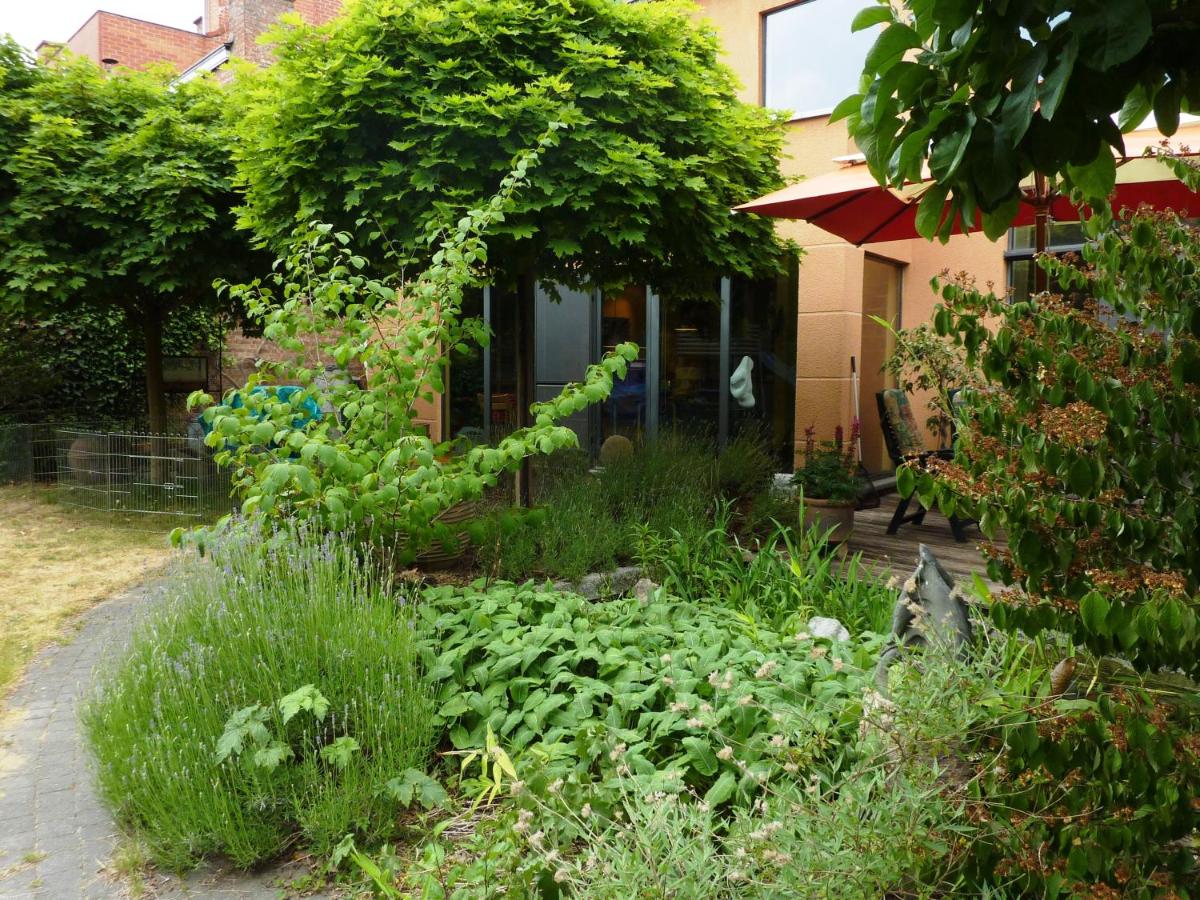 Inblauw - Exclusive Wellness B&B