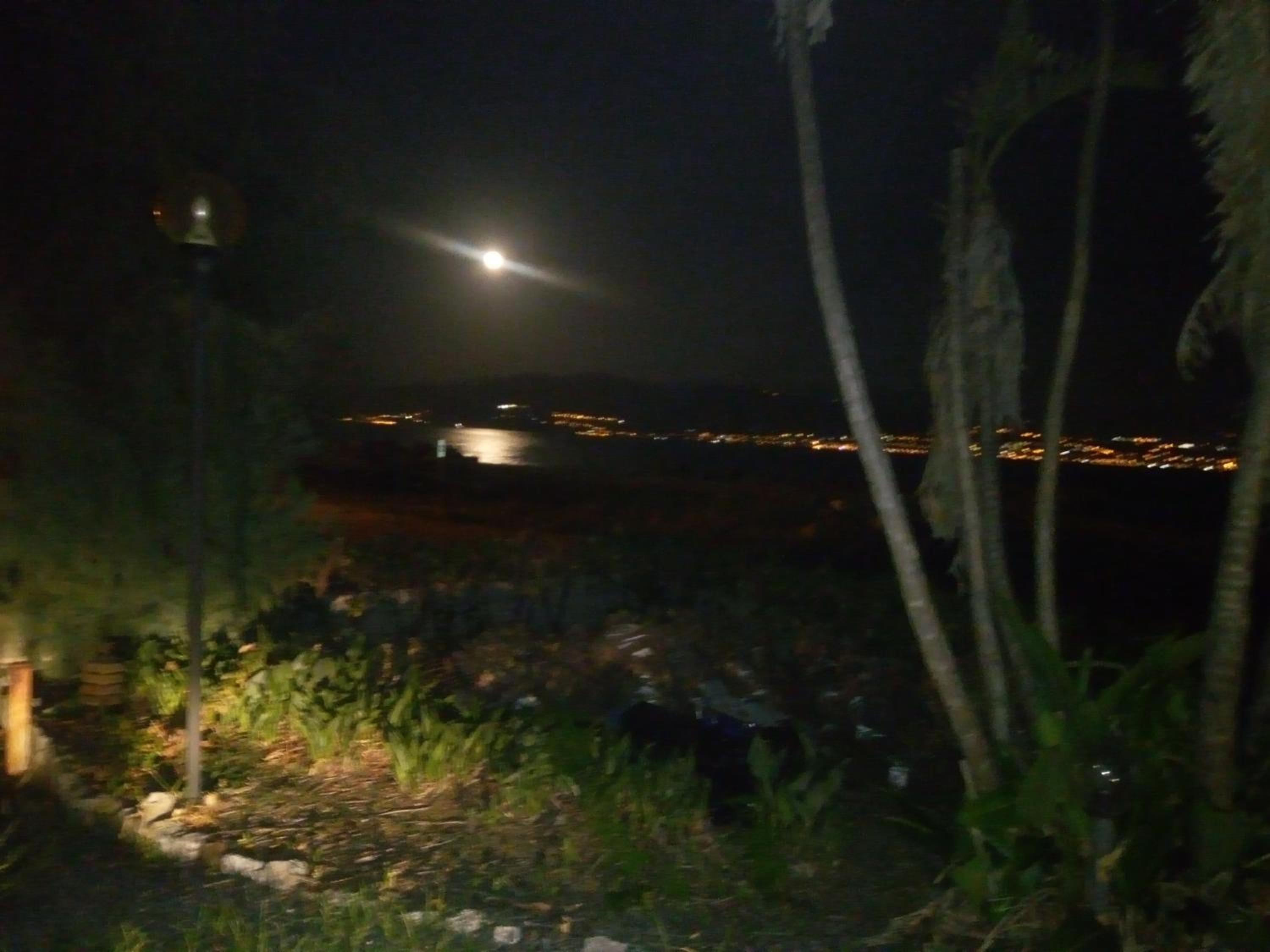 Photo 47