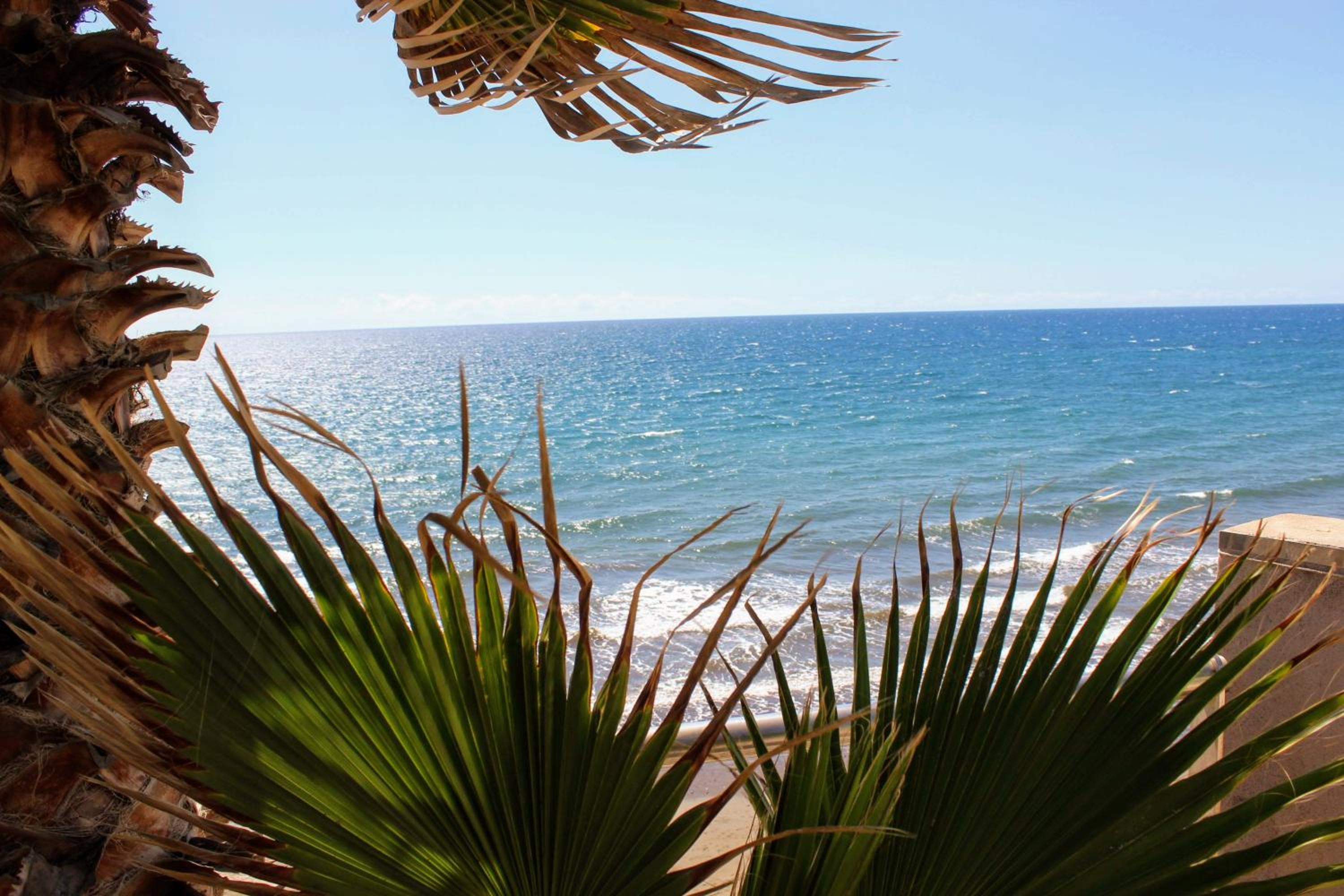 Sea and pool view apartment Bamira