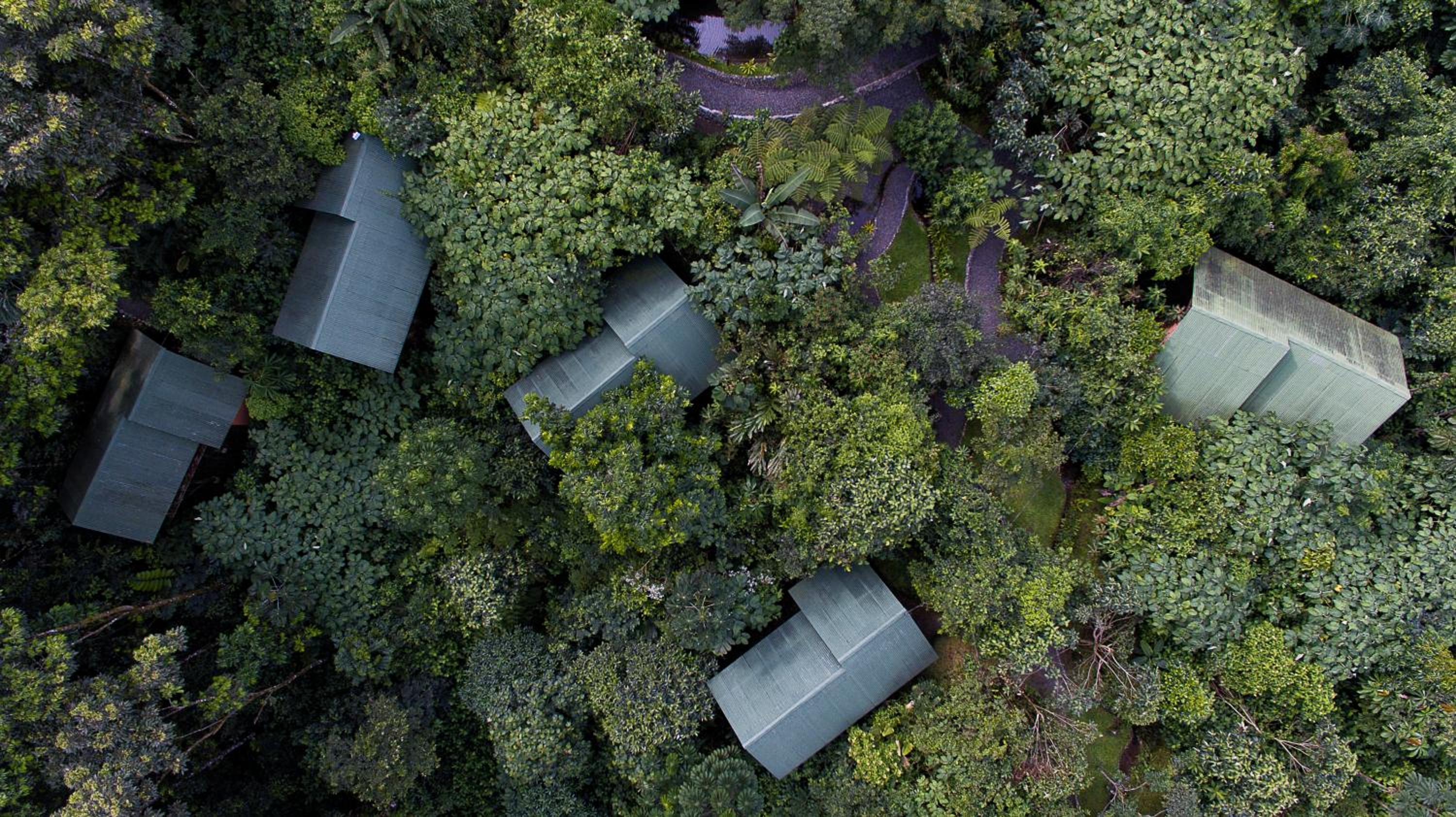 La Tigra Rainforest Lodge