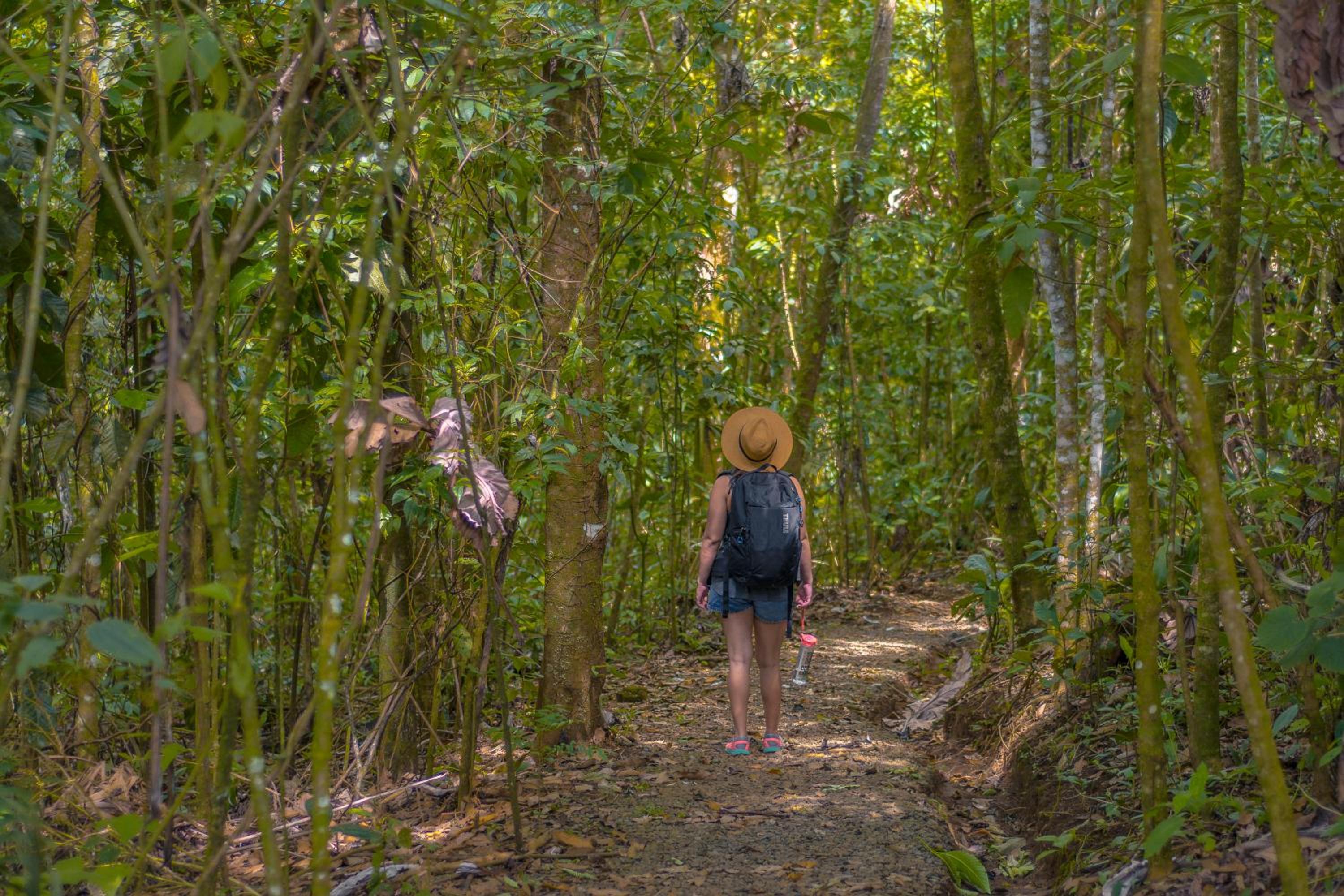 La Tigra Rainforest Lodge