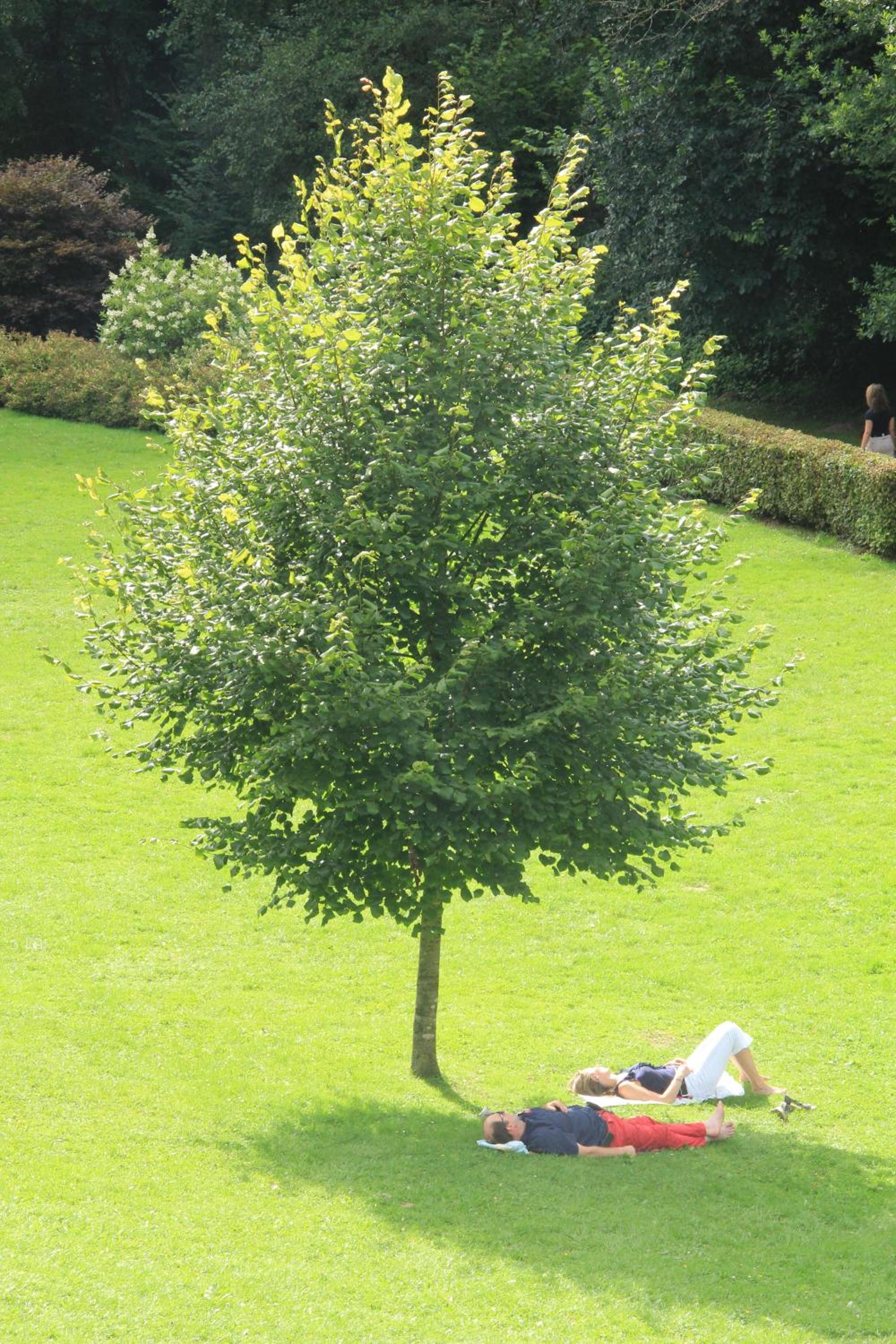 Photo 48