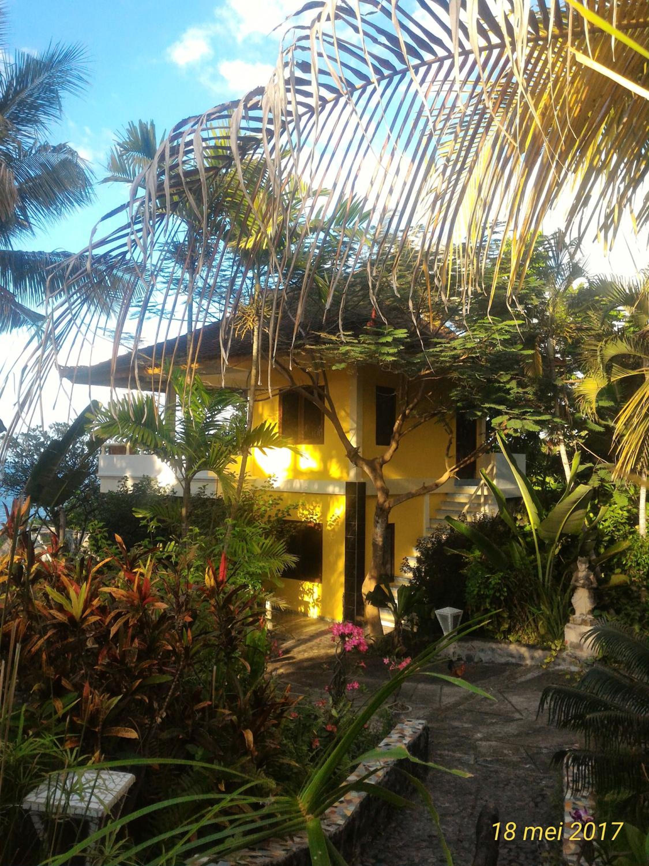 Photo 19