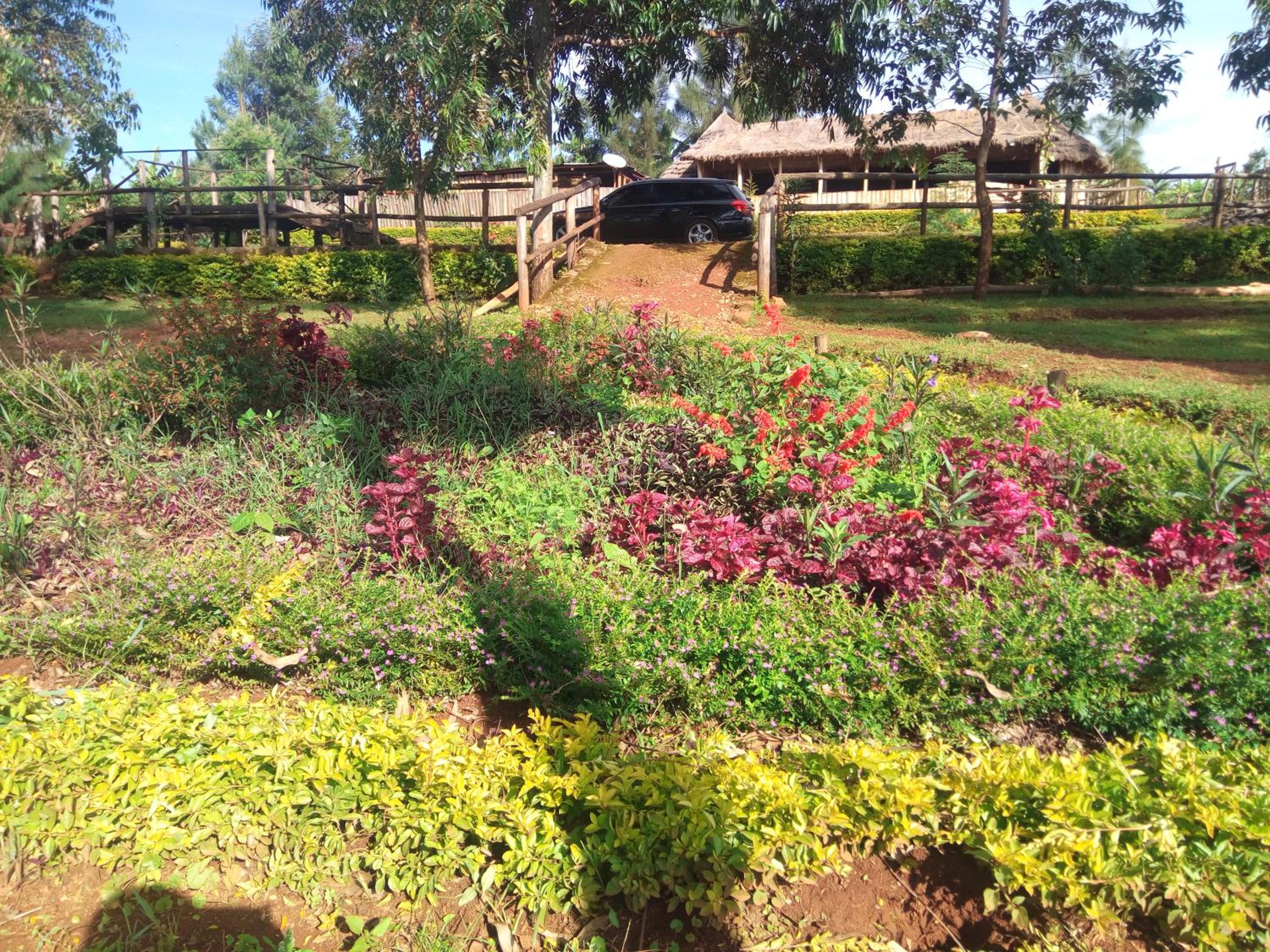 Sipi Coffee Lodge view 3