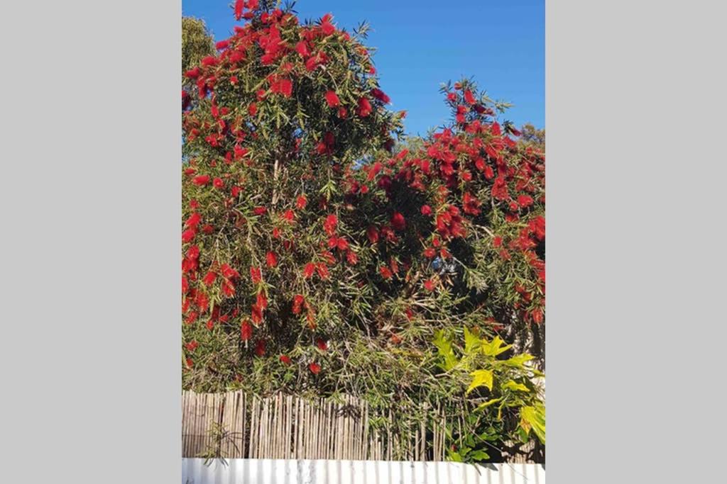 Leeward 'tranquil beachfront'