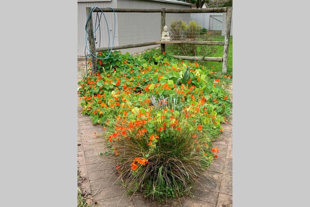 Leeward 'tranquil beachfront'
