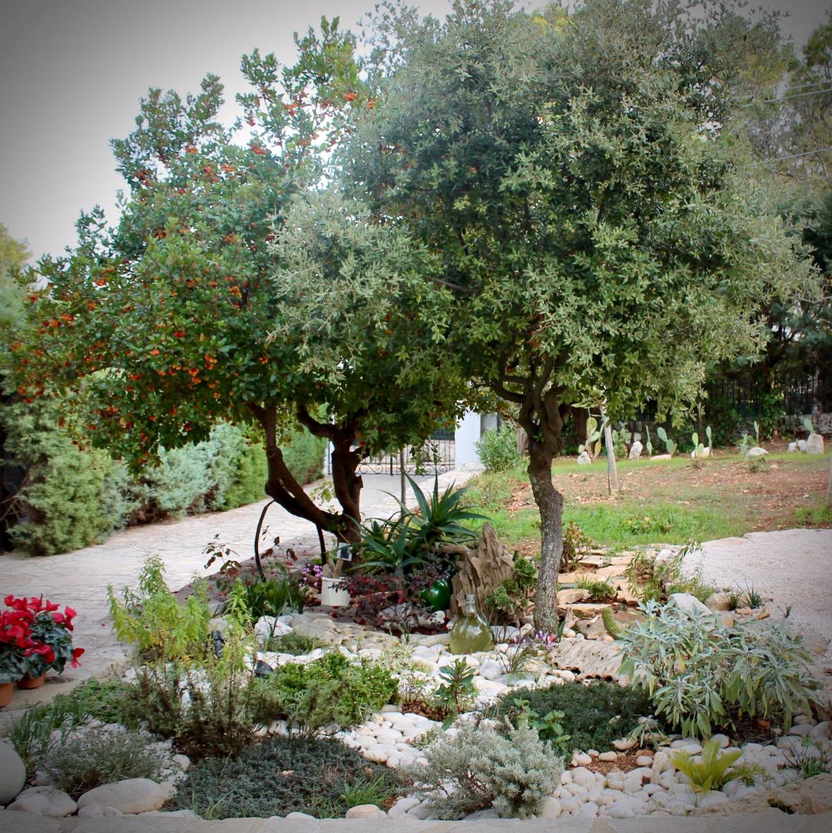 Trulli Laurus 600 view 5