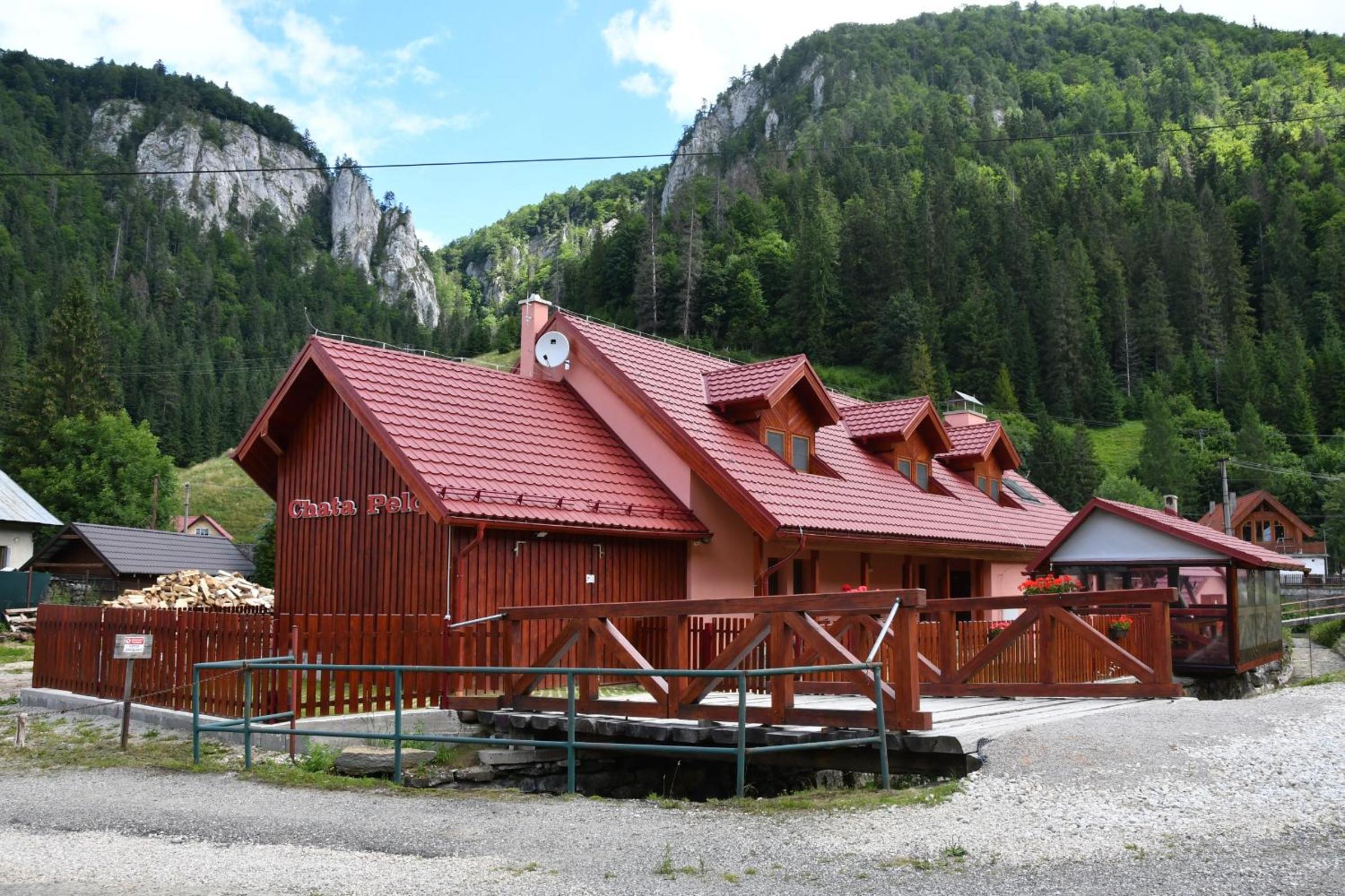 Photo 15