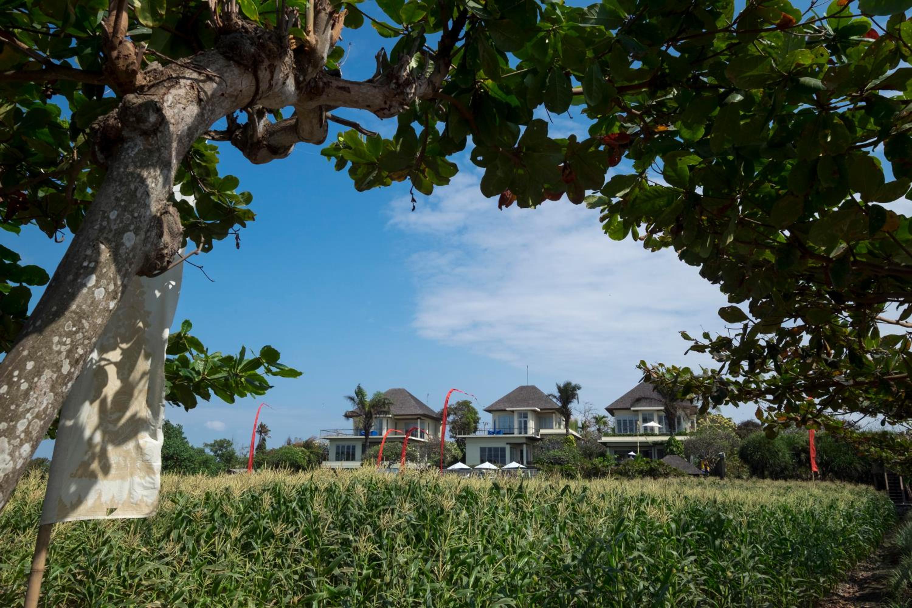 Hotel Sanur Residence