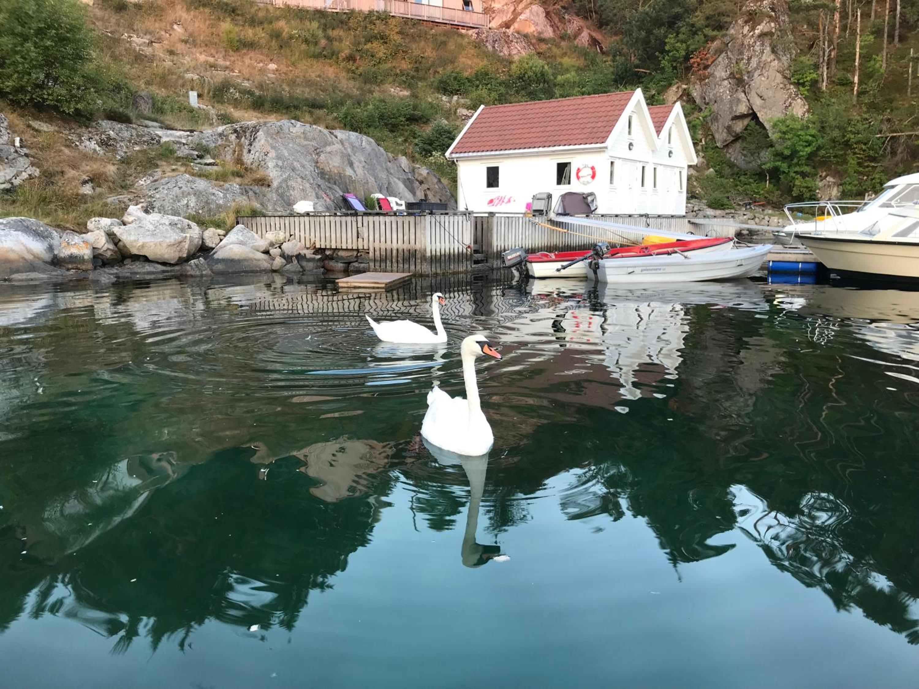 Havbris view 3