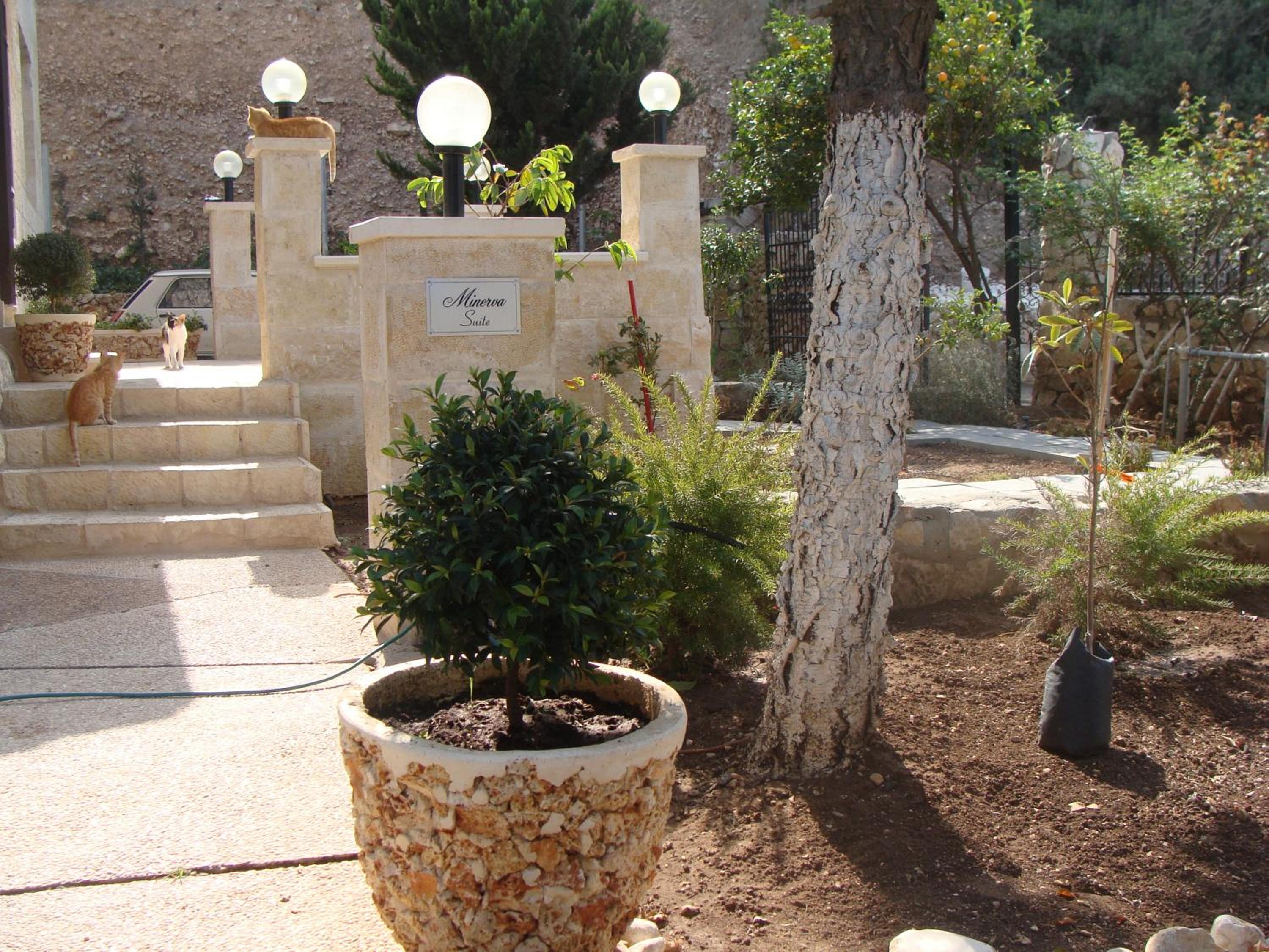 Tamer Guest house