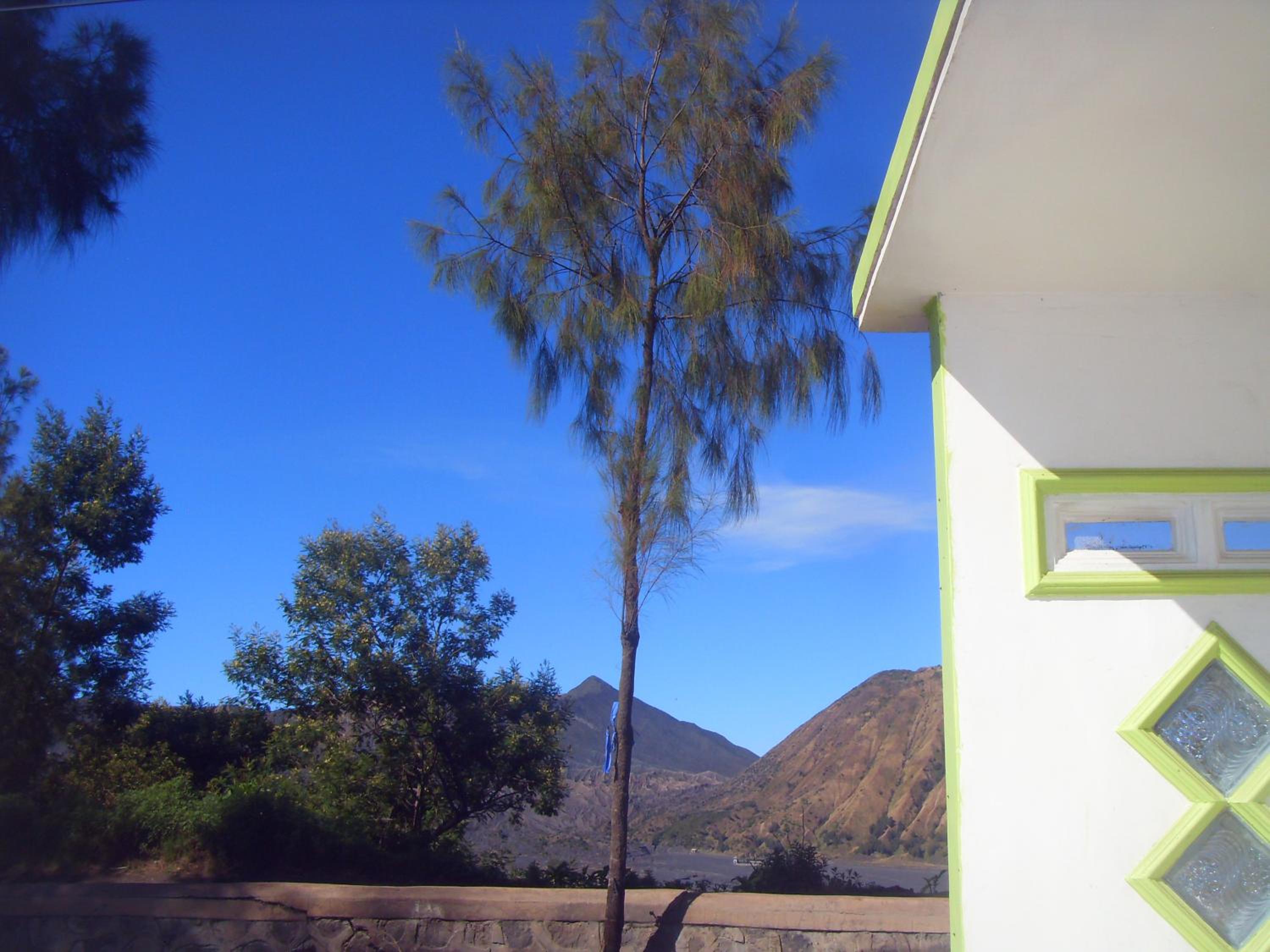 Cahyo Homestay Bromo view 2