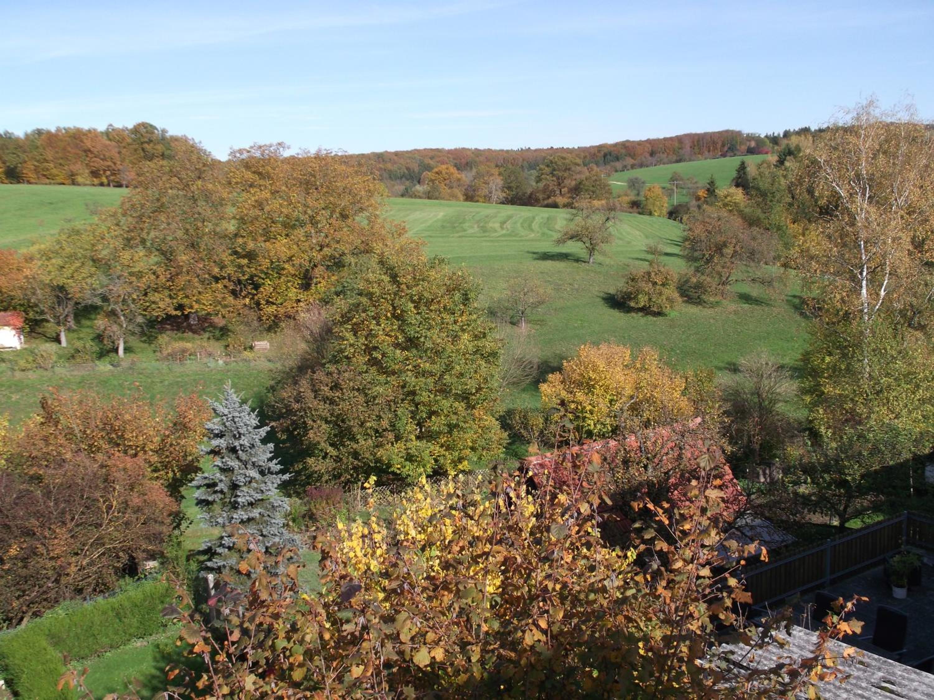 Gasthaus Vogelgarten