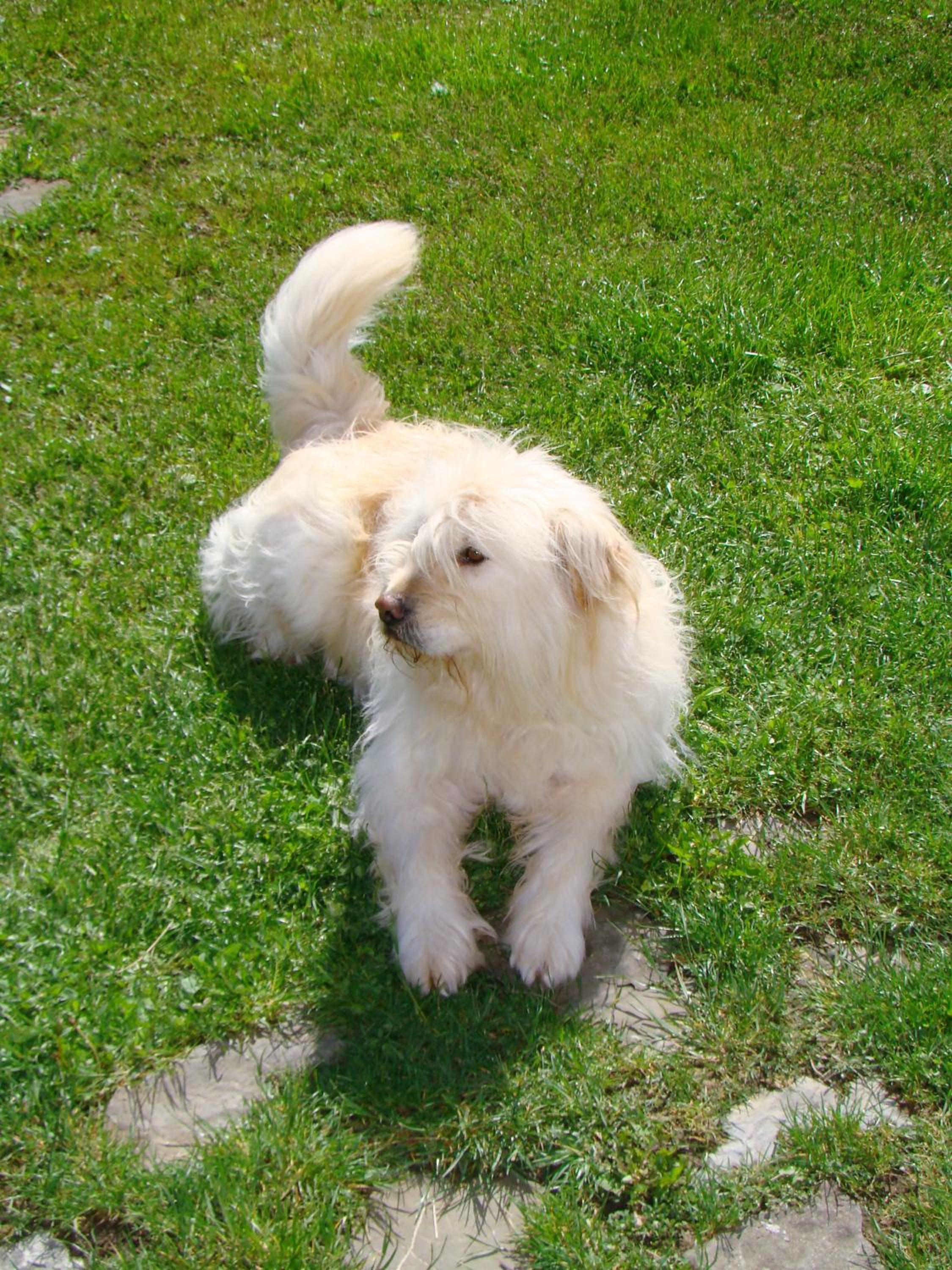 Photo 21