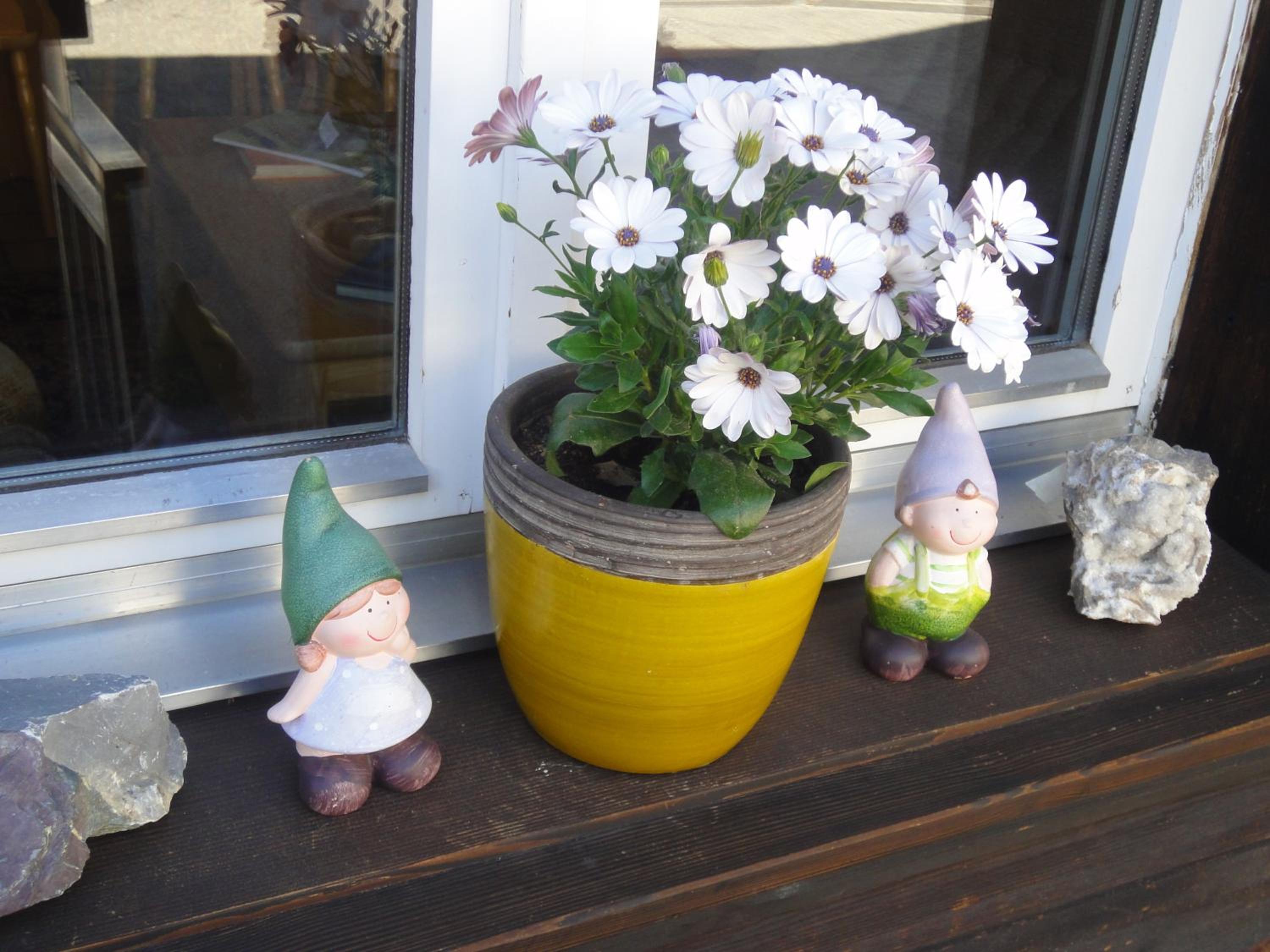Photo 35