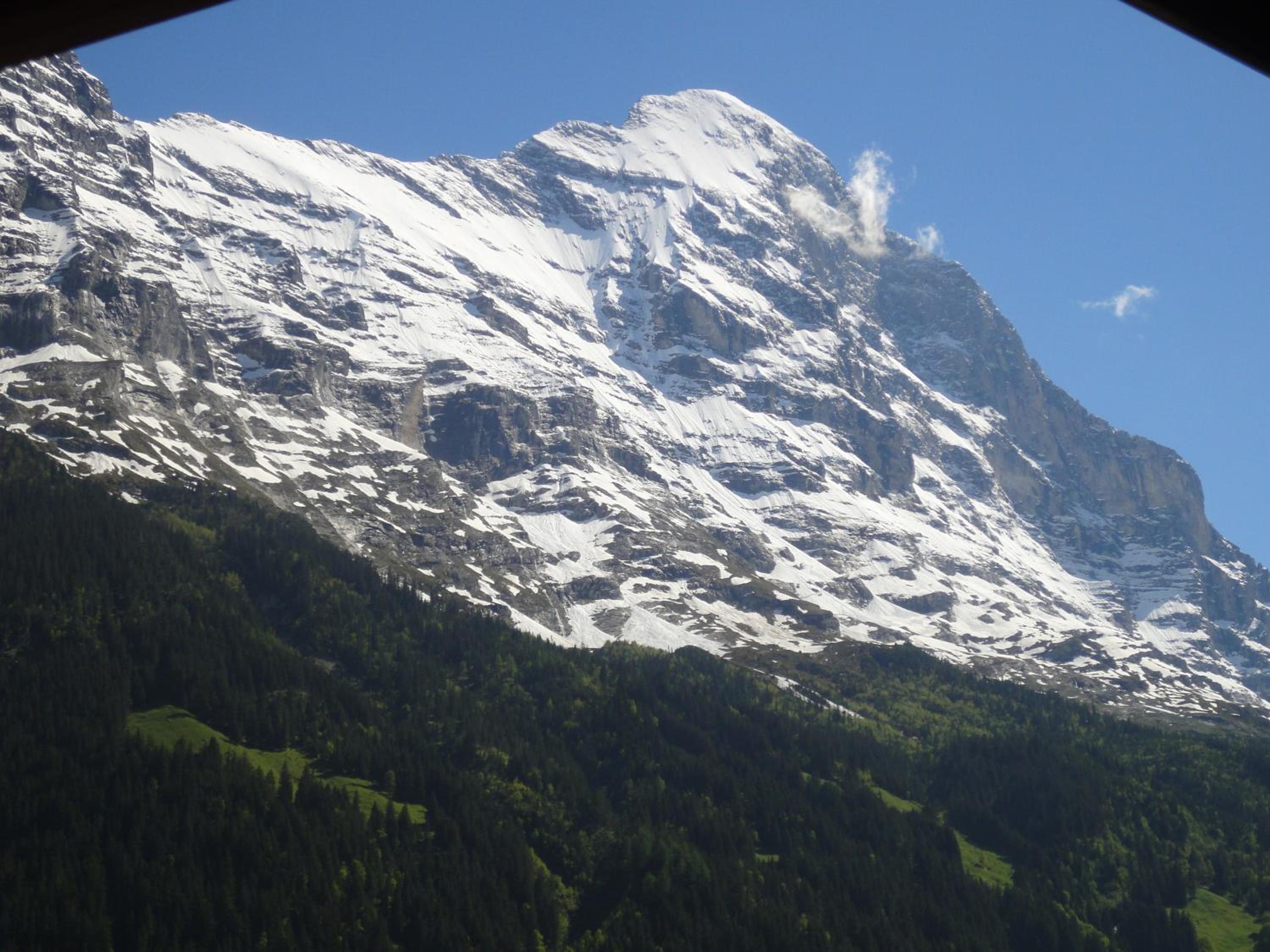 Photo 40