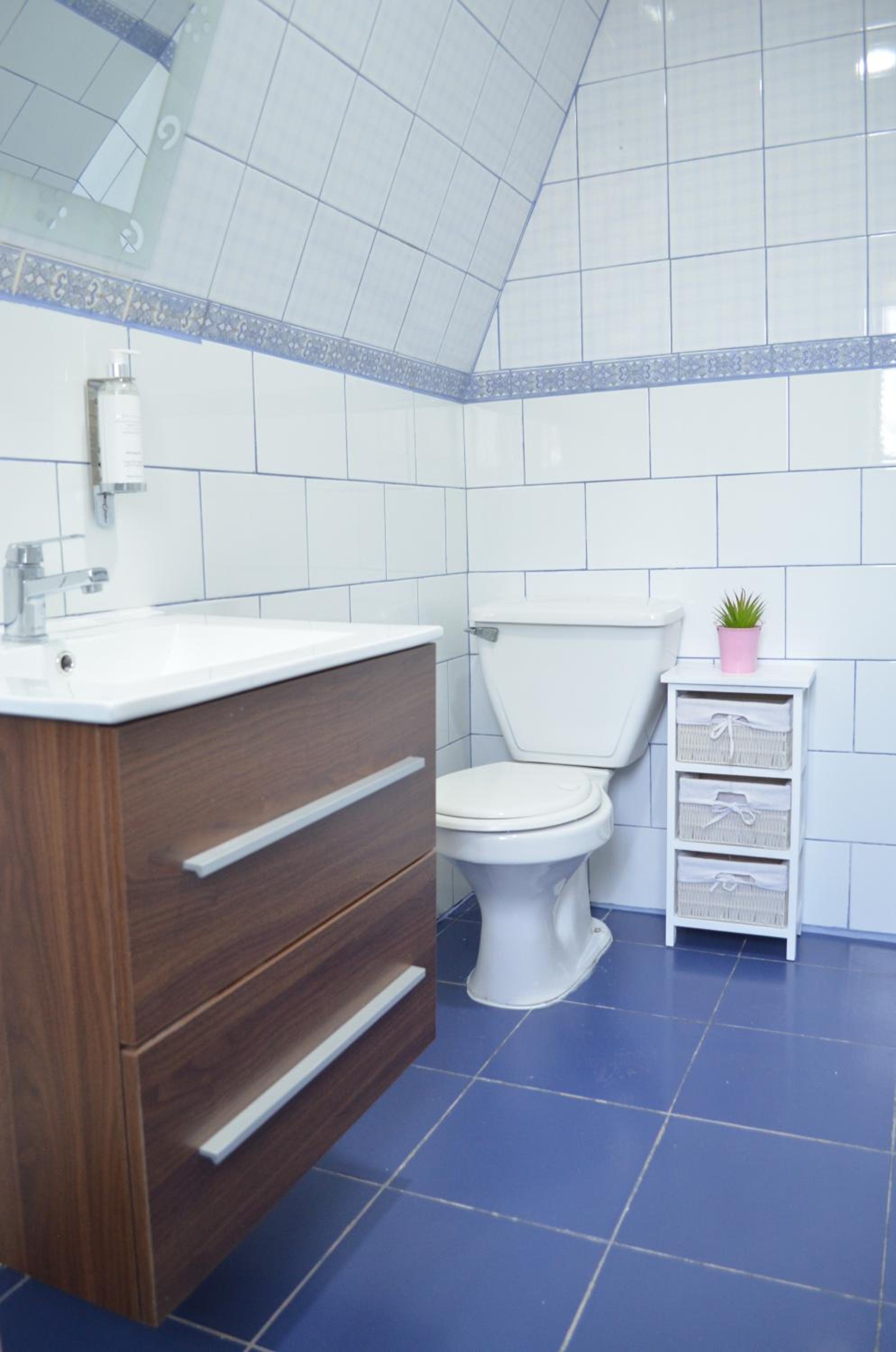 Los Araucanos