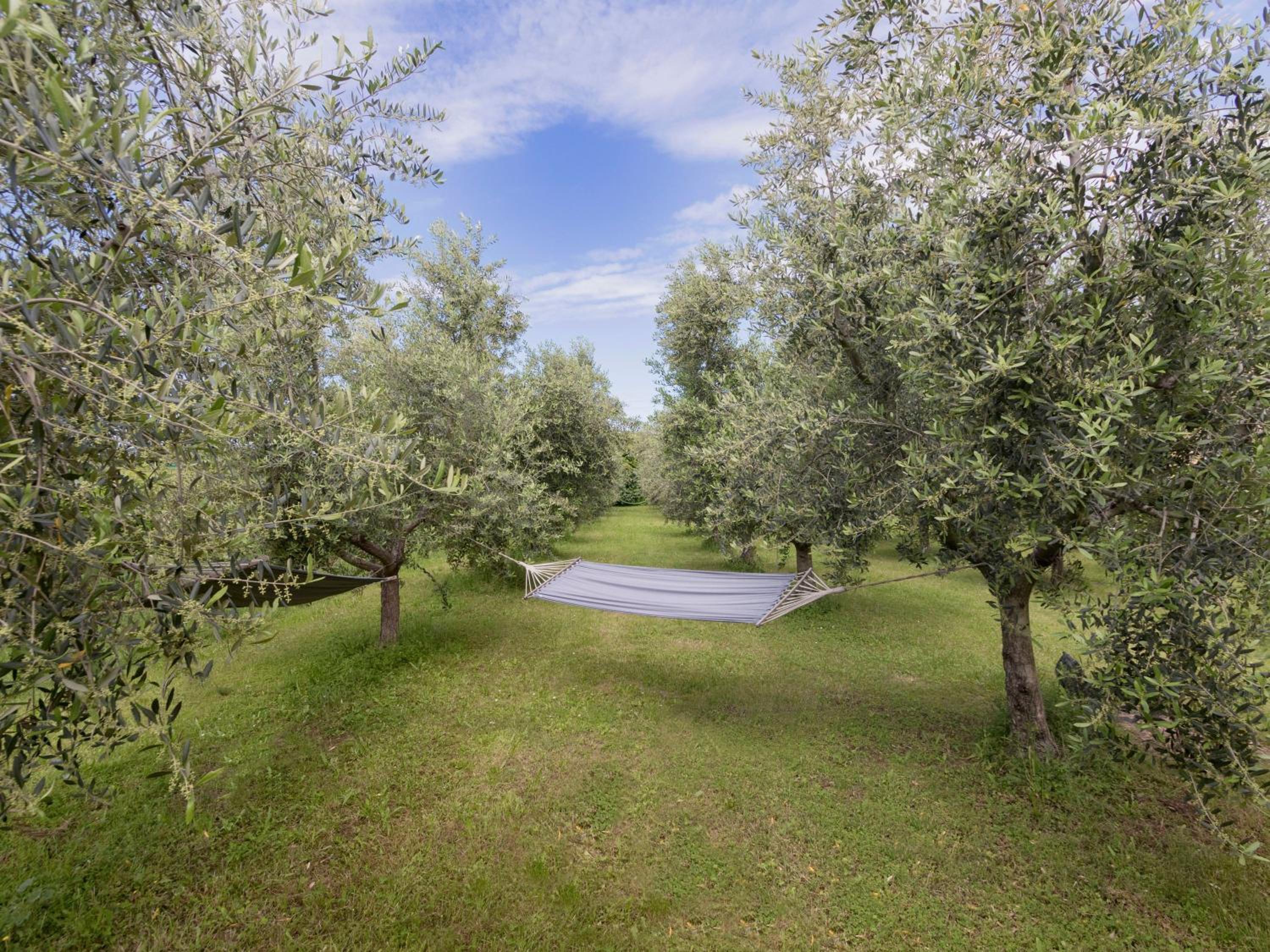 Wonderful Villa Botticelli view 5