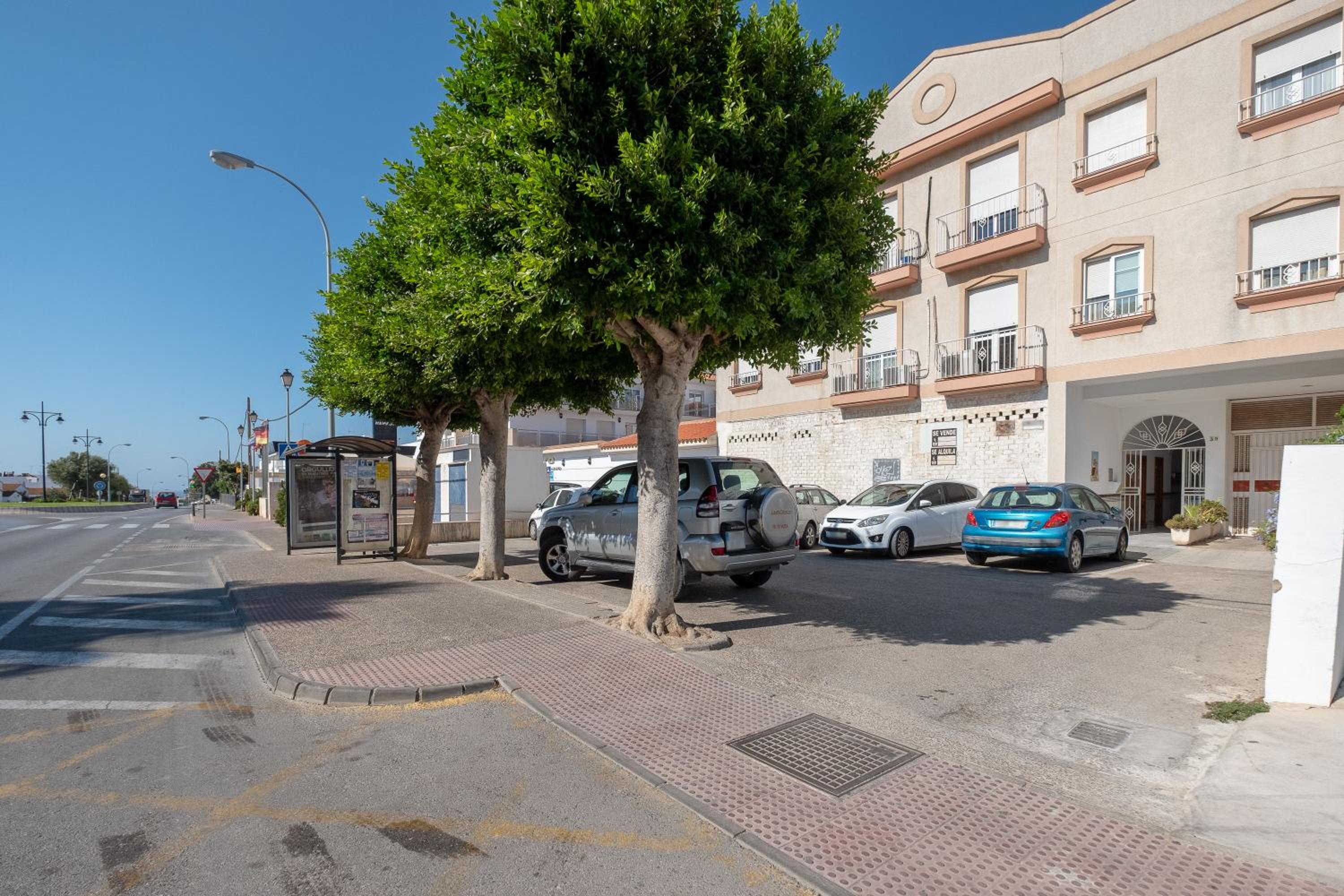 Apartamento Luz view 4