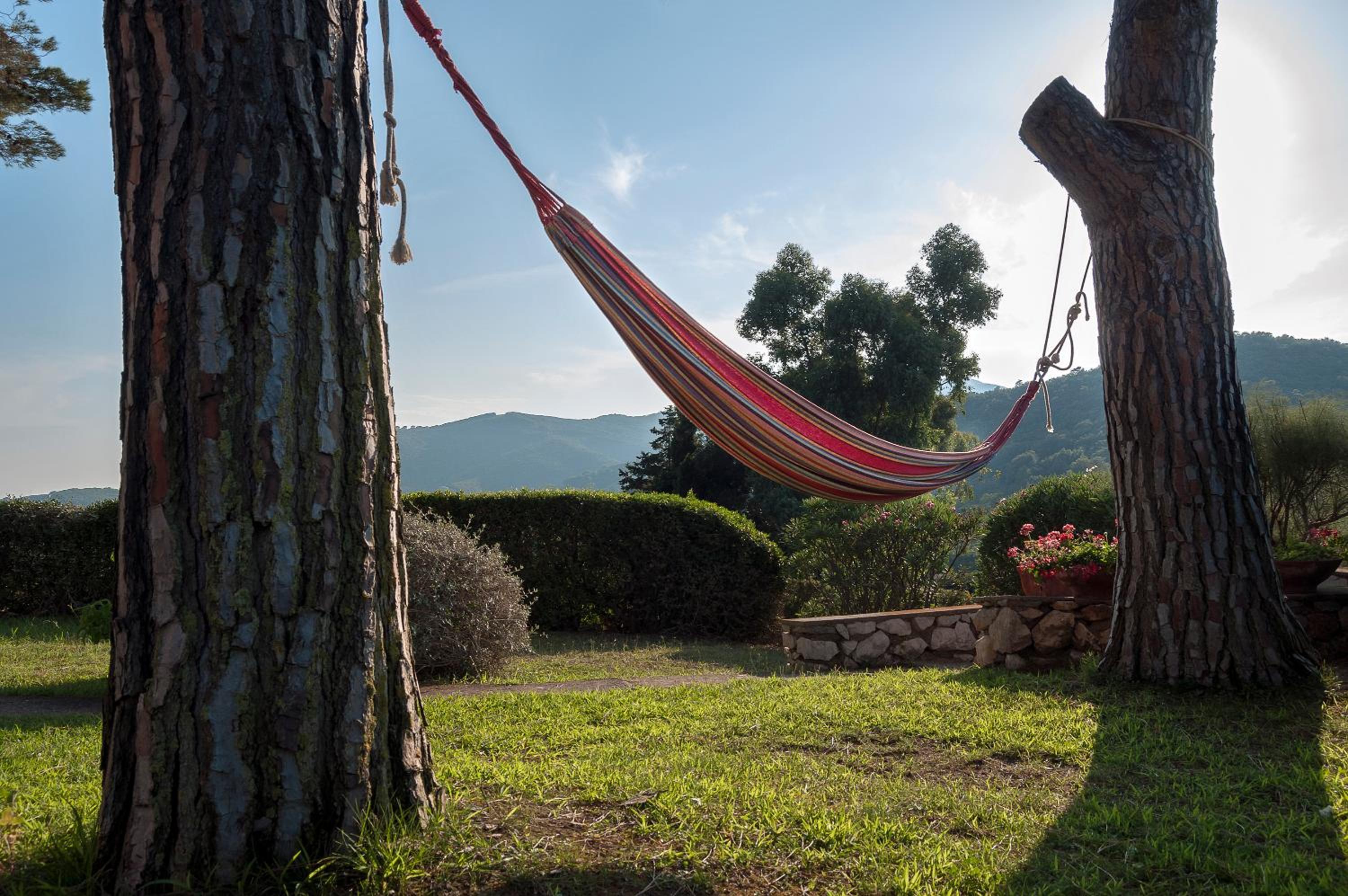 Il Grifo - Cozy house, wonderful view view 3