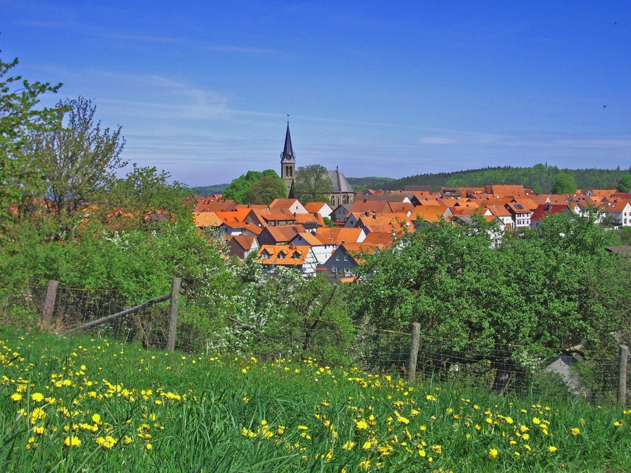 Photo 23