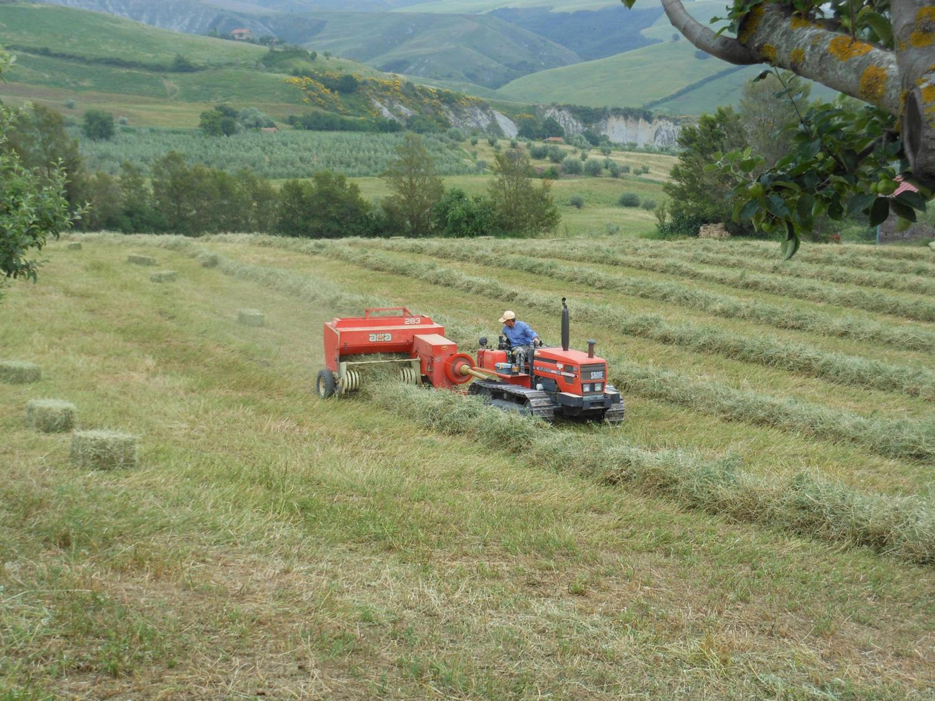 Agriturismo Collomici