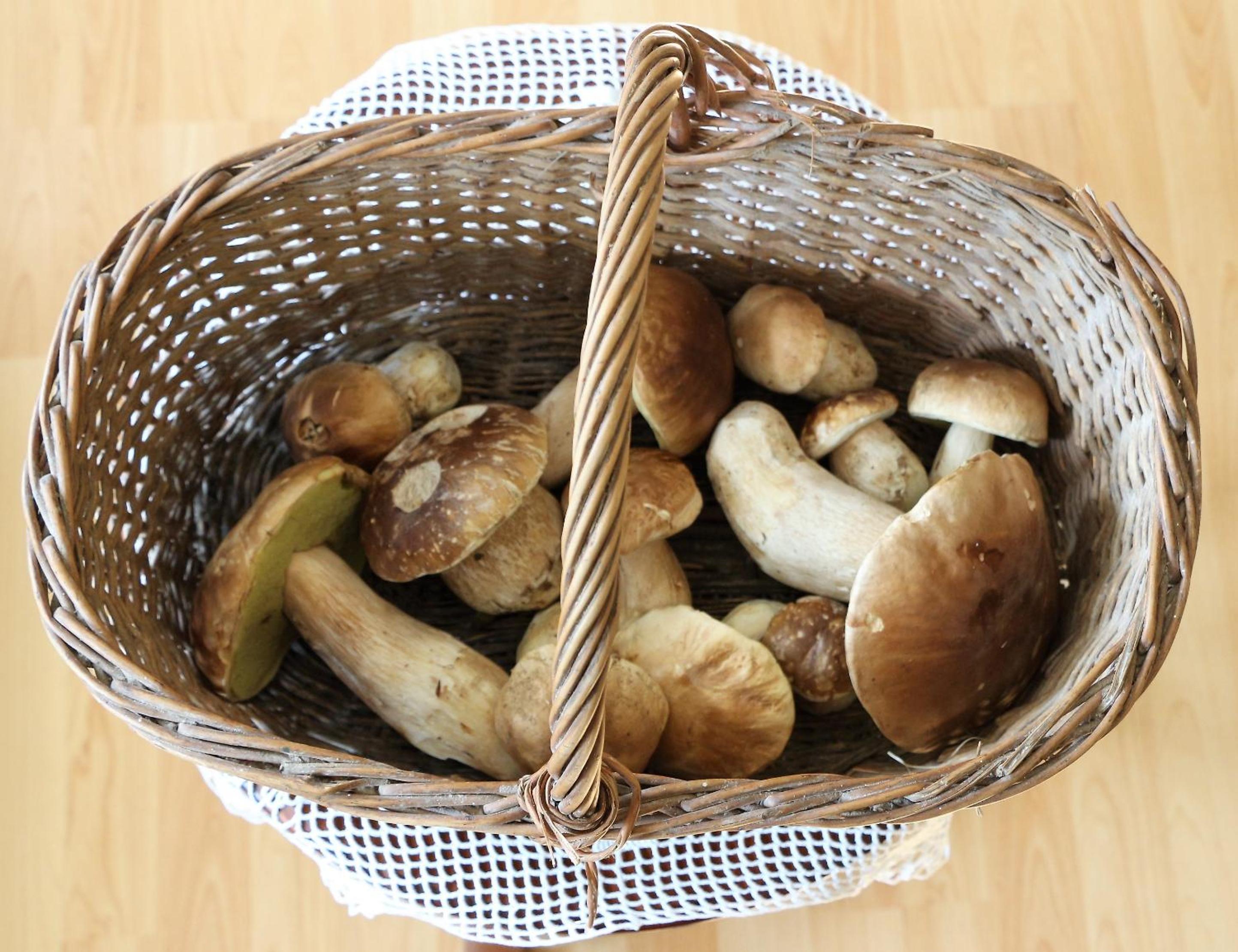 Photo 24
