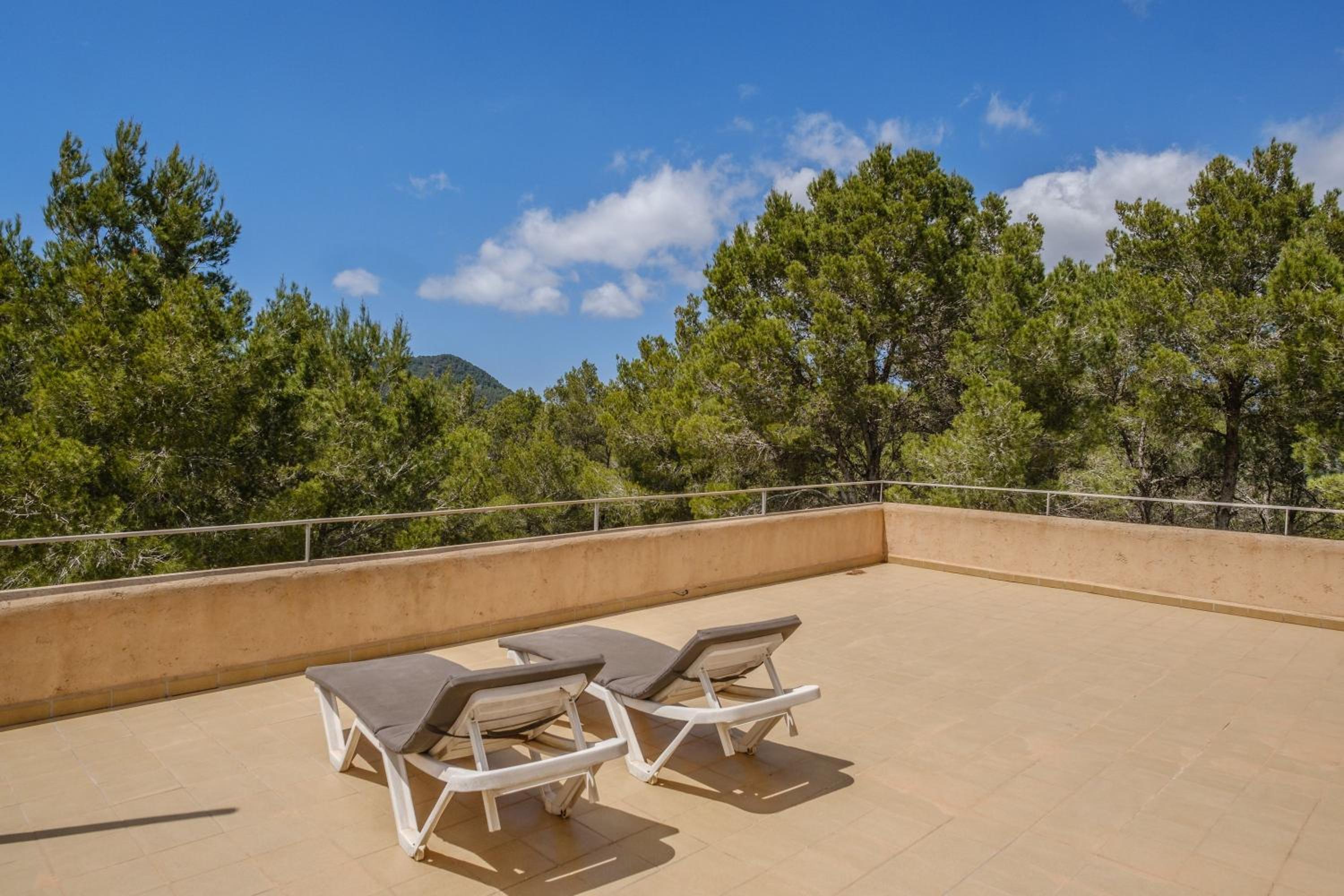 Can Moustique photo 4