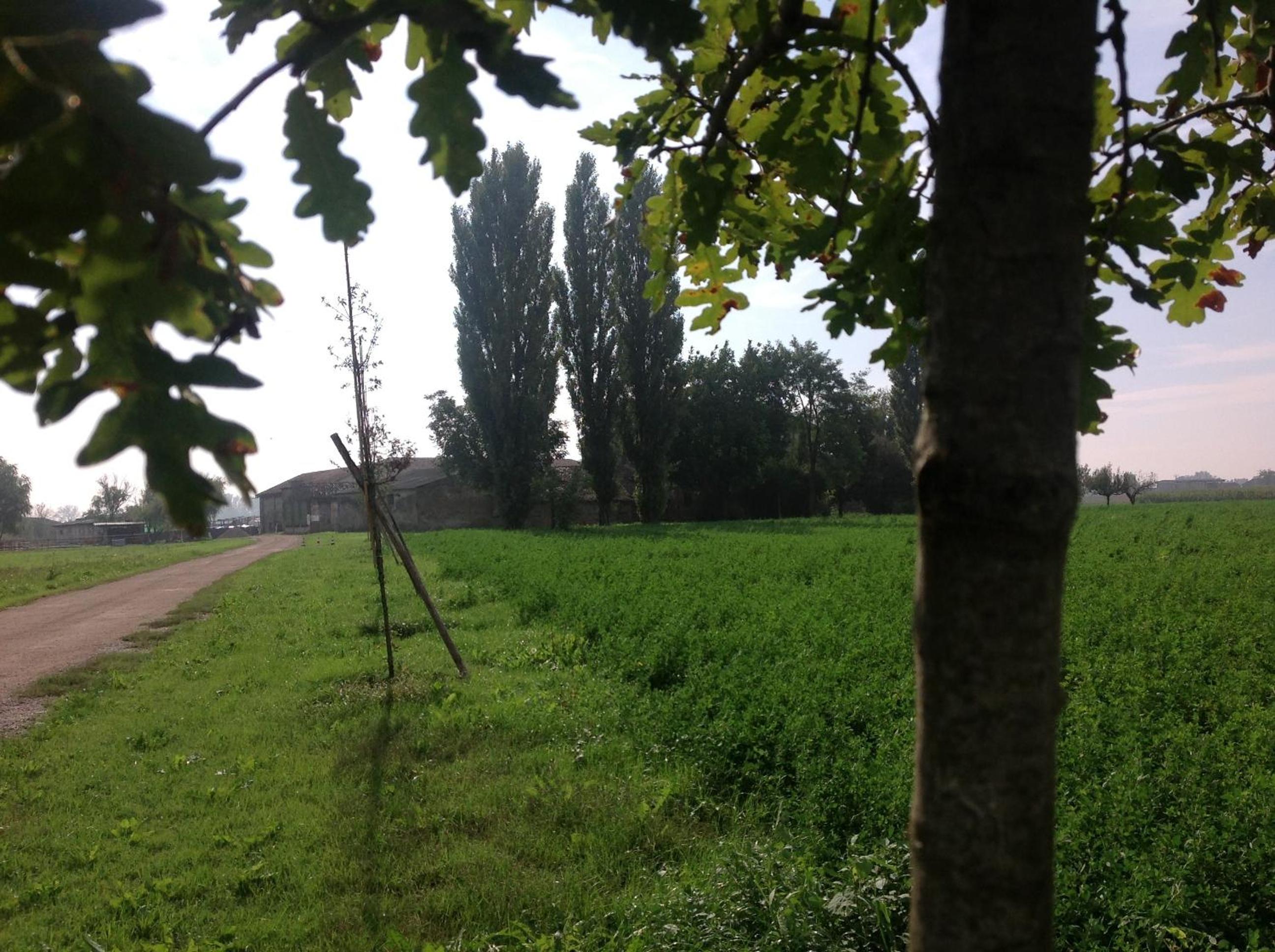 Photo 39