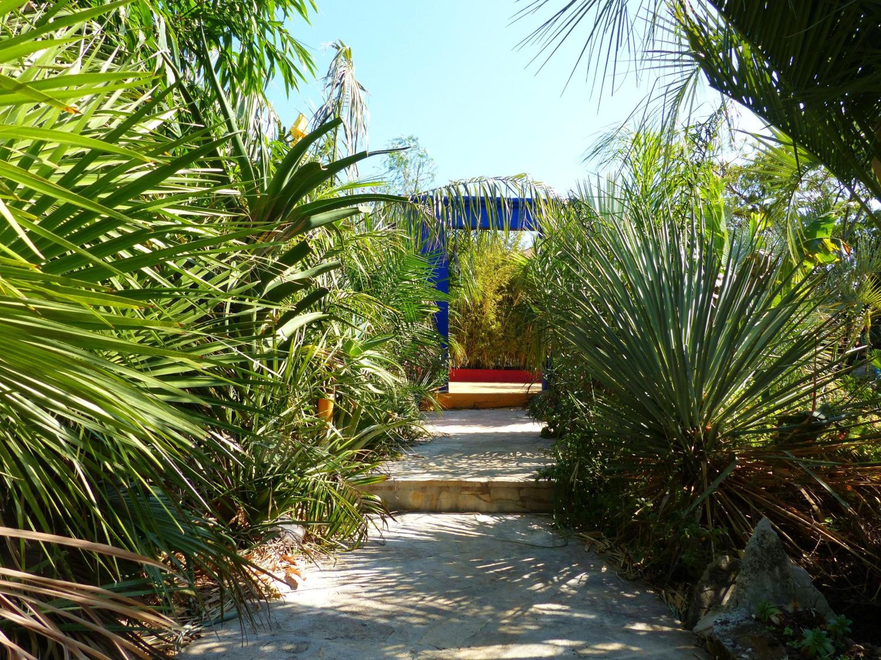 Photo 44
