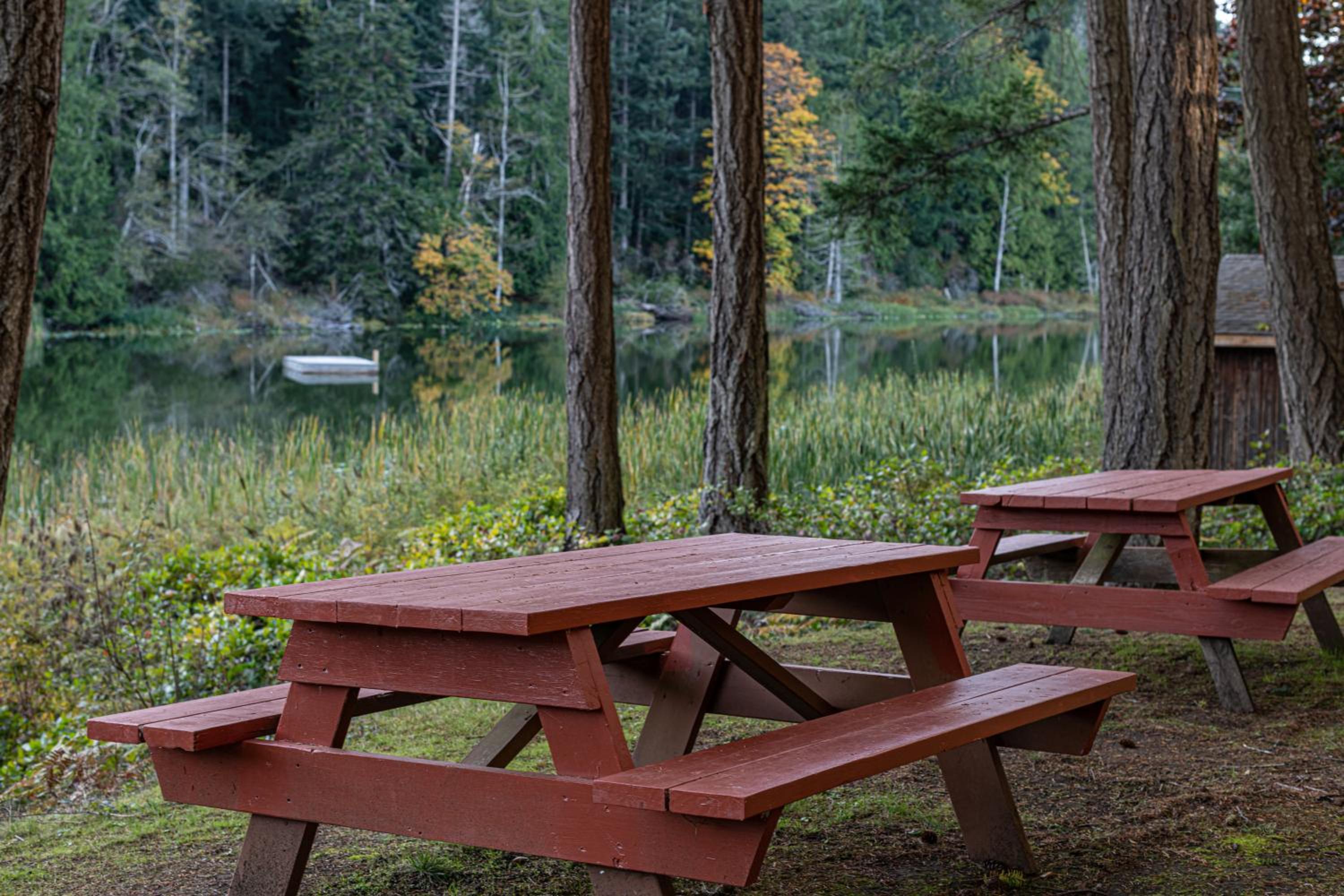 Cusheon Lake Resort