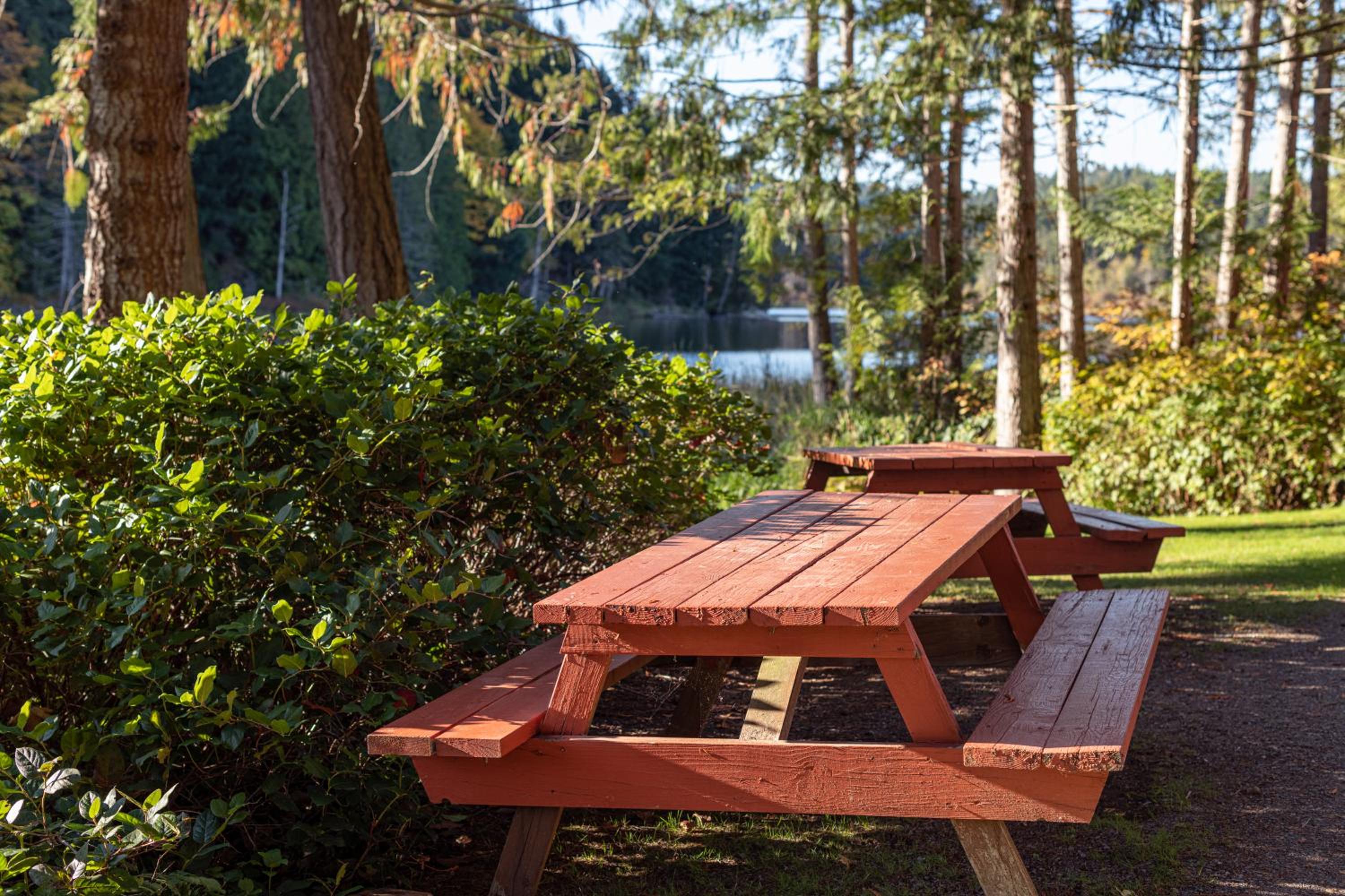 Cusheon Lake Resort