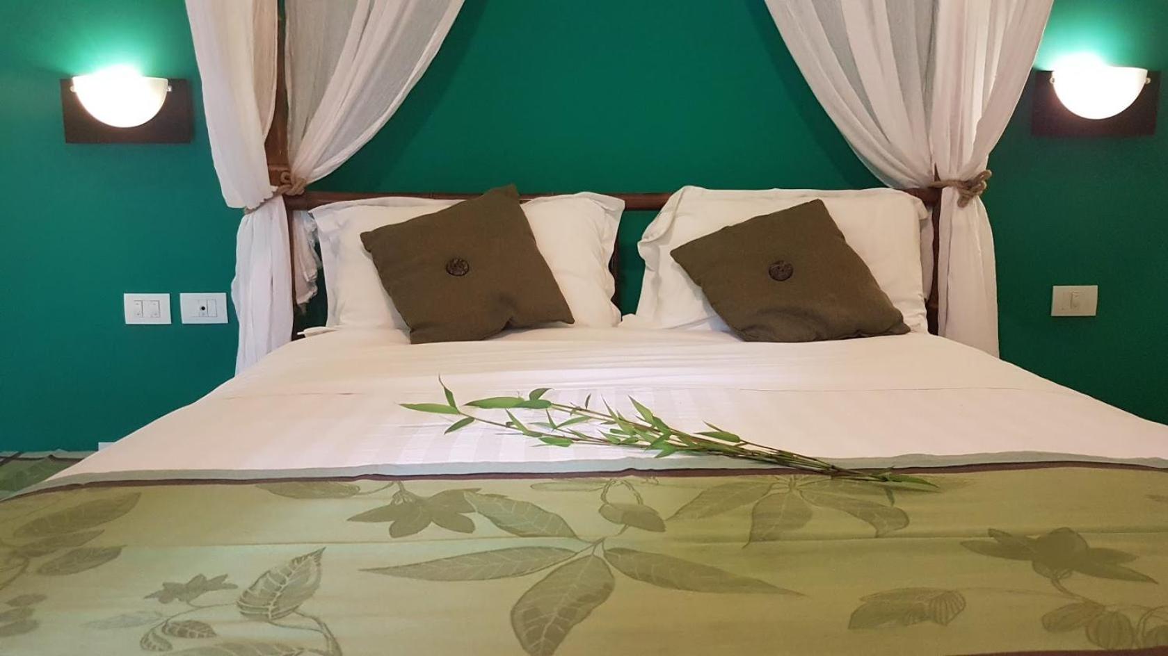 Tacacori EcoLodge