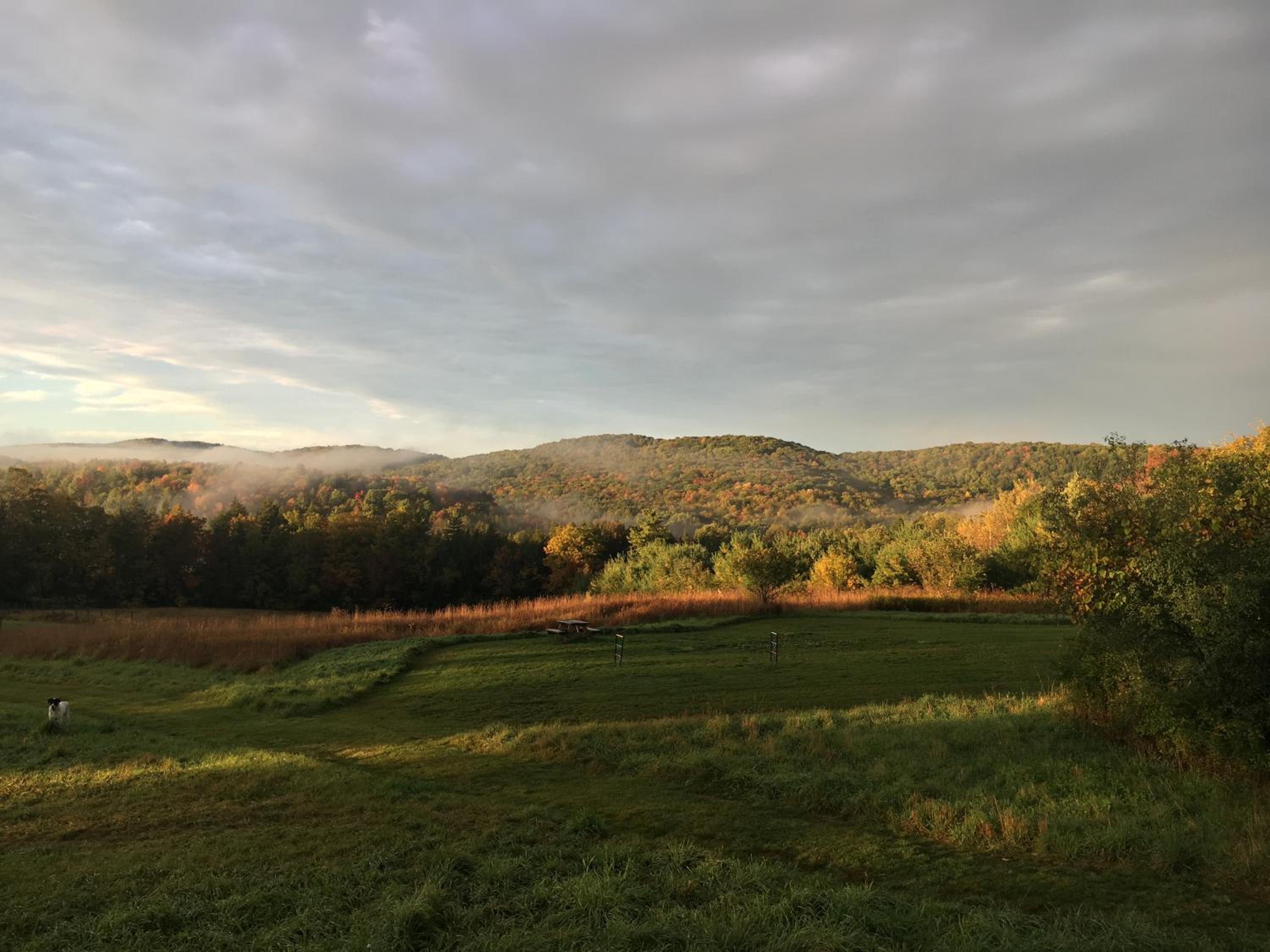 Fat Sheep Farm & Cabins view 5