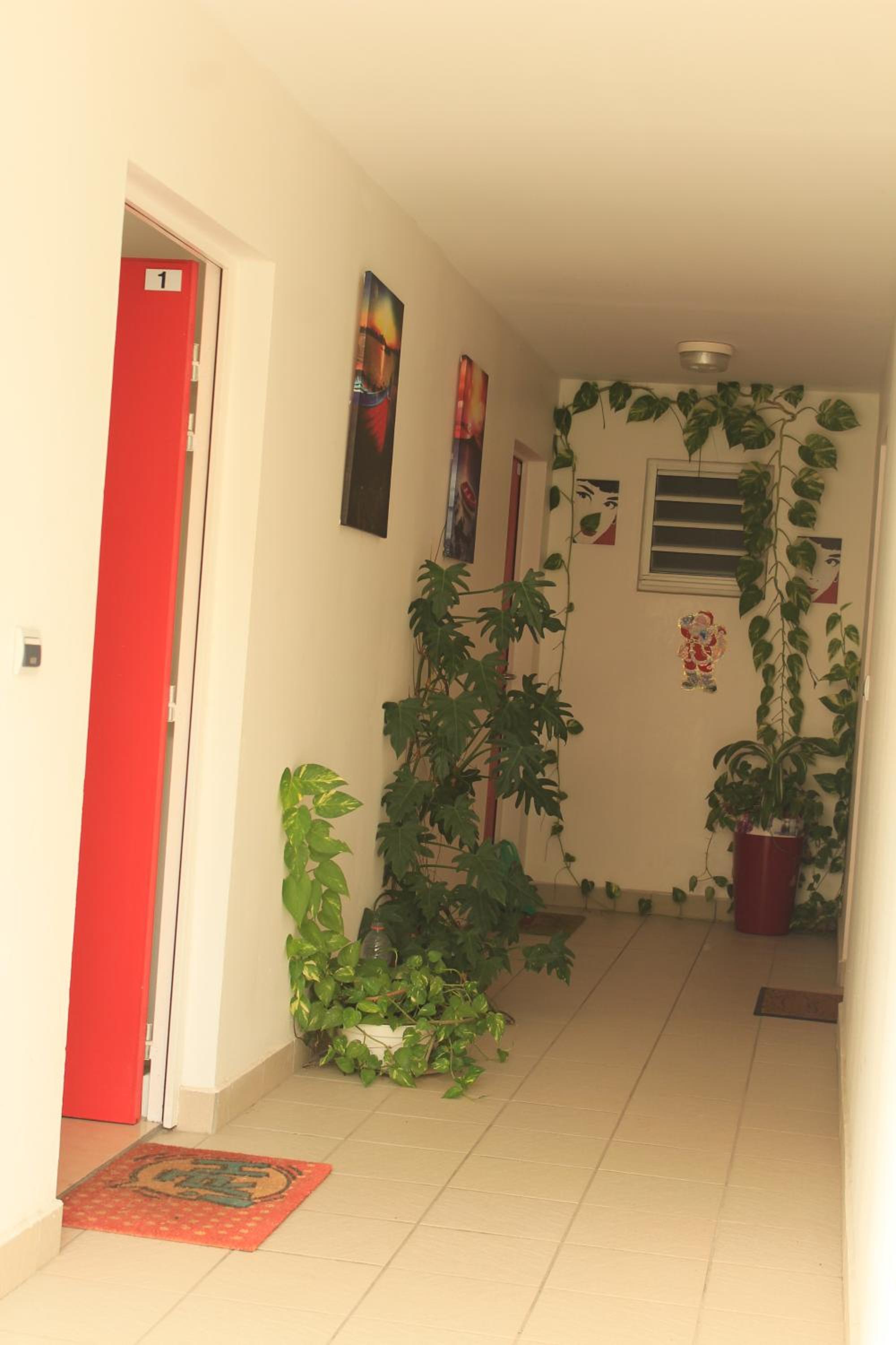 Photo 41
