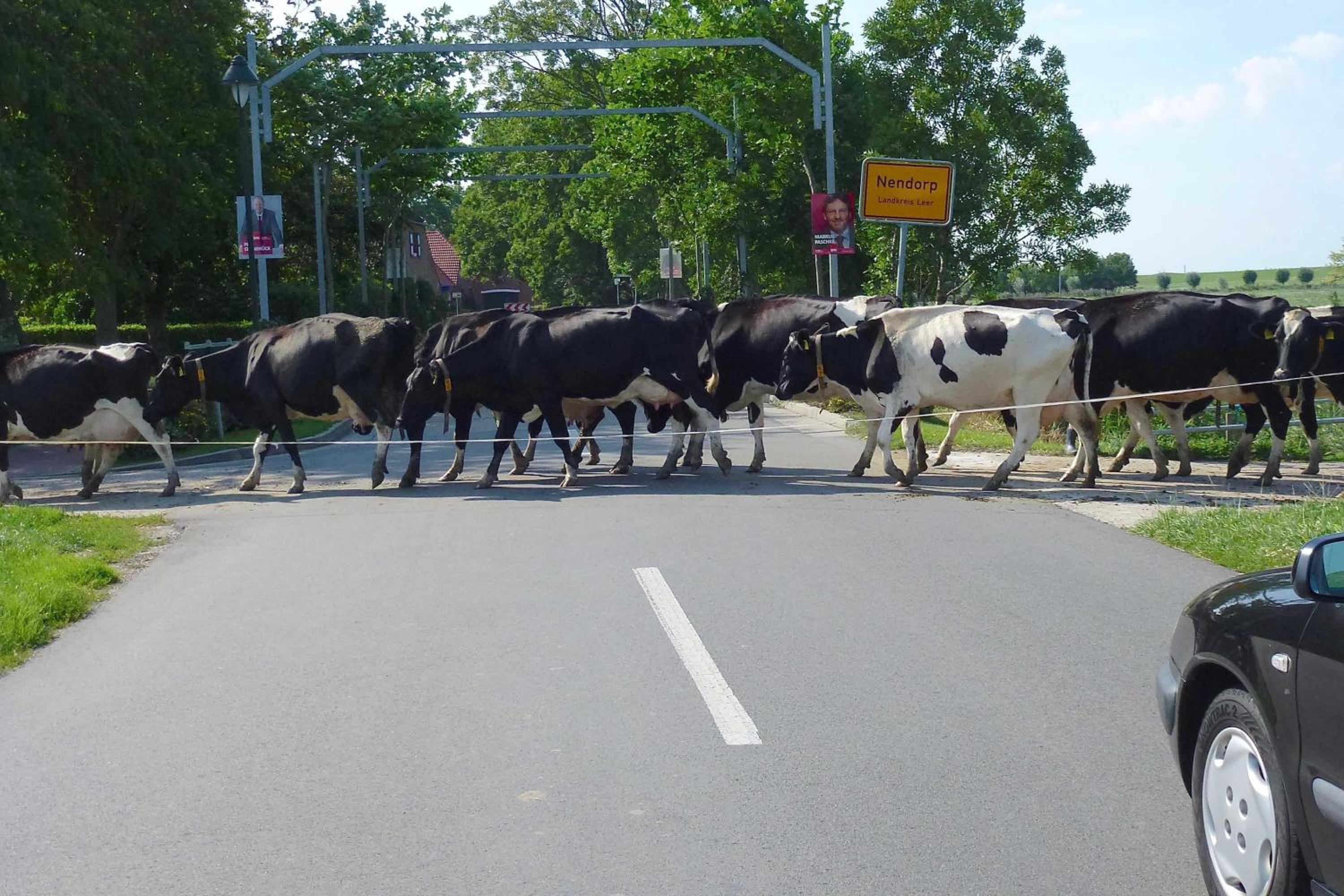 Ferienhof van Vlyten_ 45006