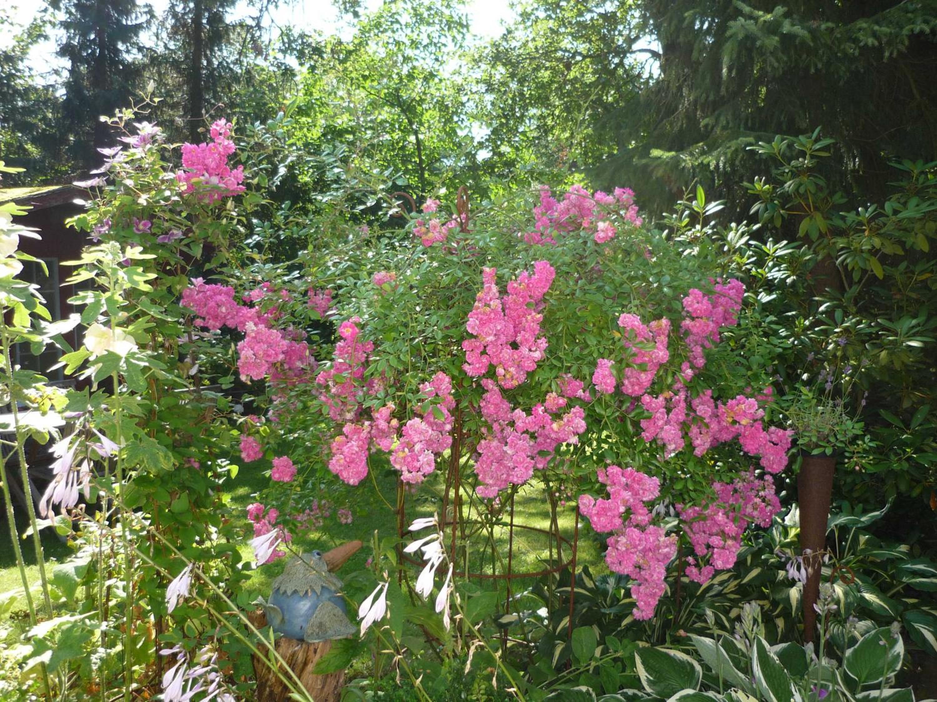 Photo 12