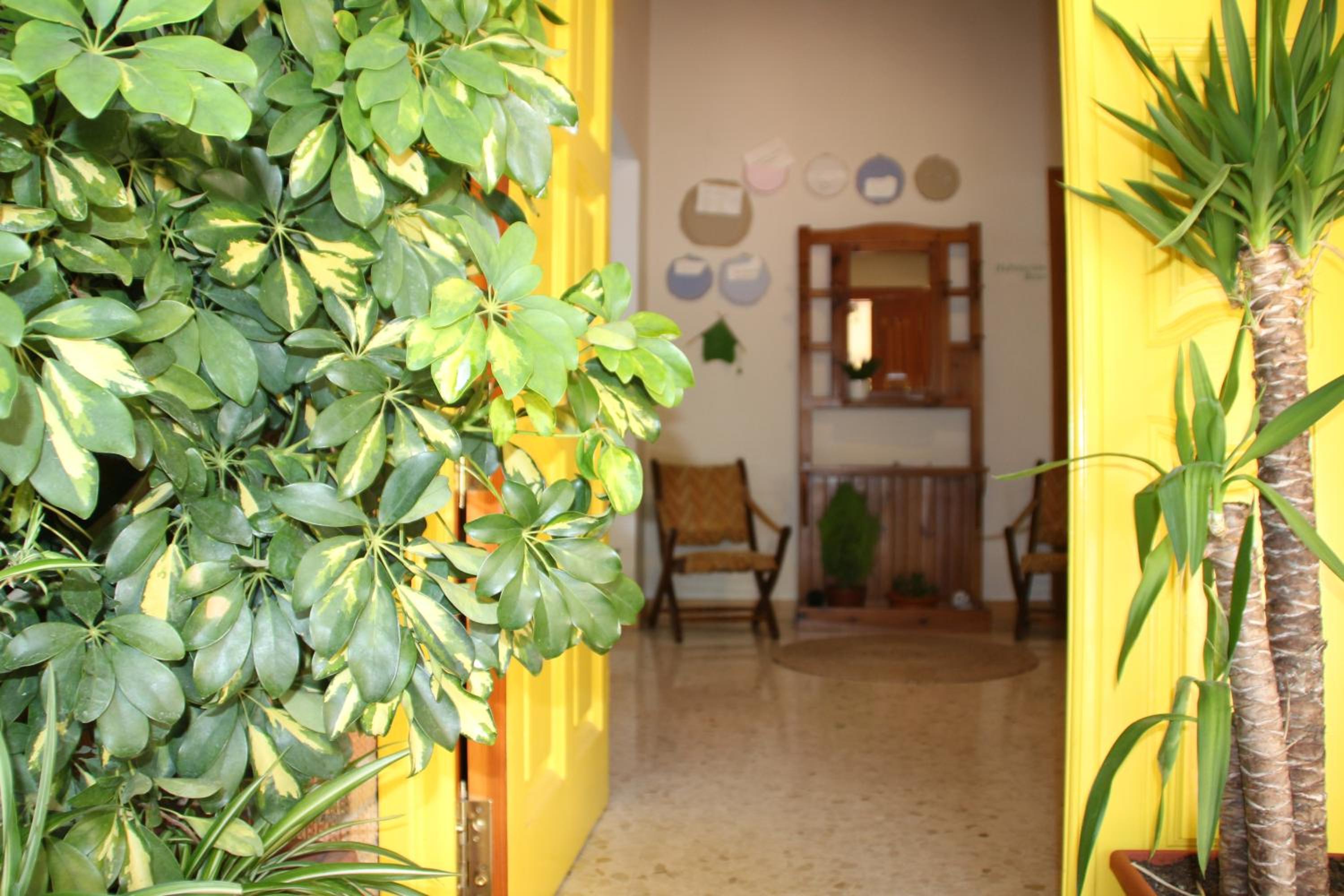 El jardín de la abuela photo 4