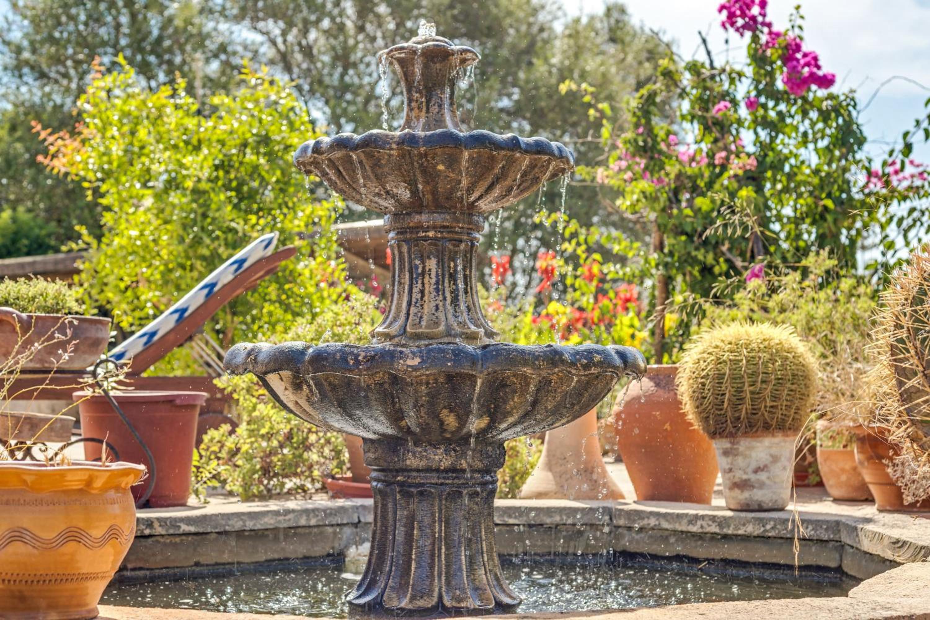 Es Turó Des Bessons photo 3