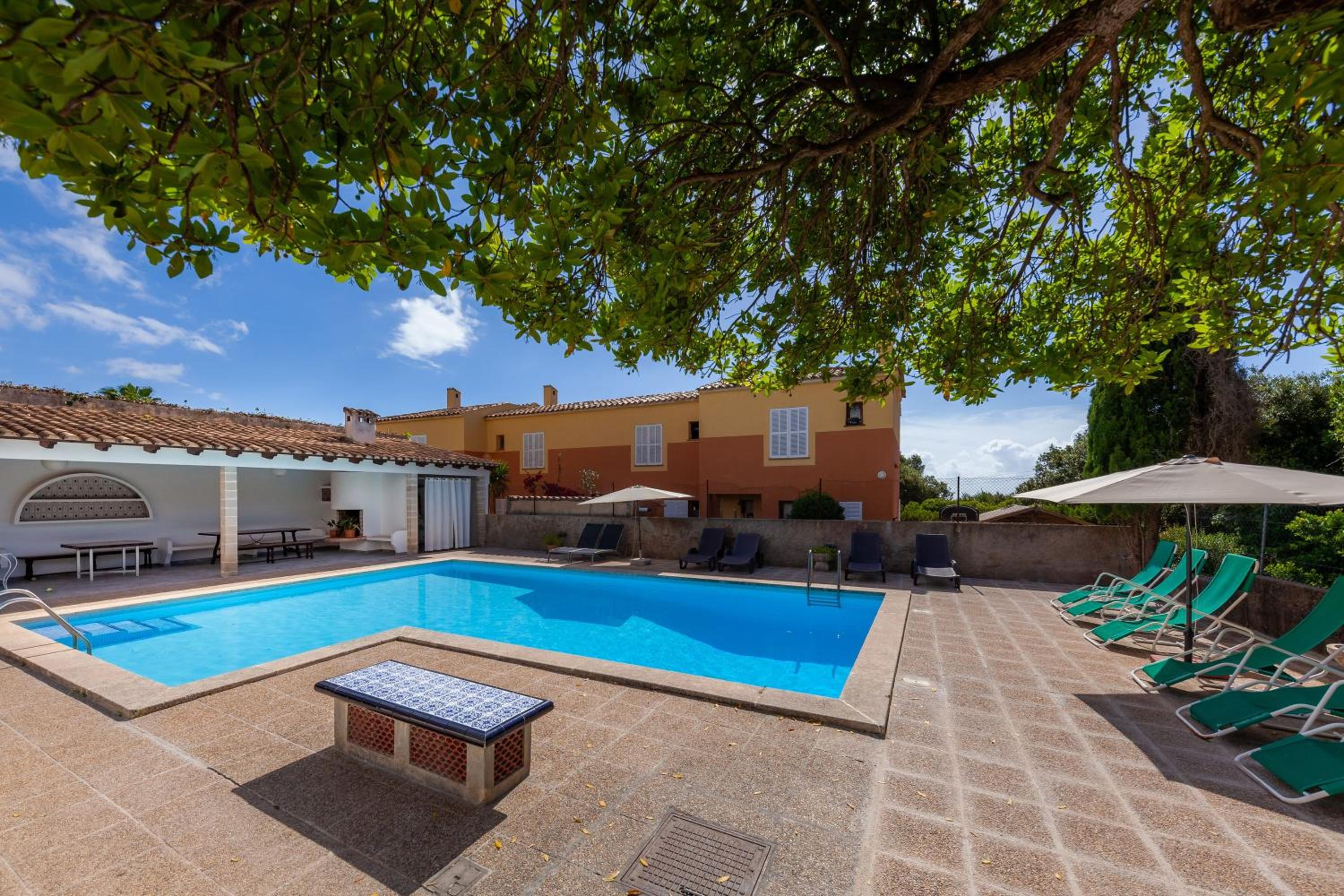 Photo 25
