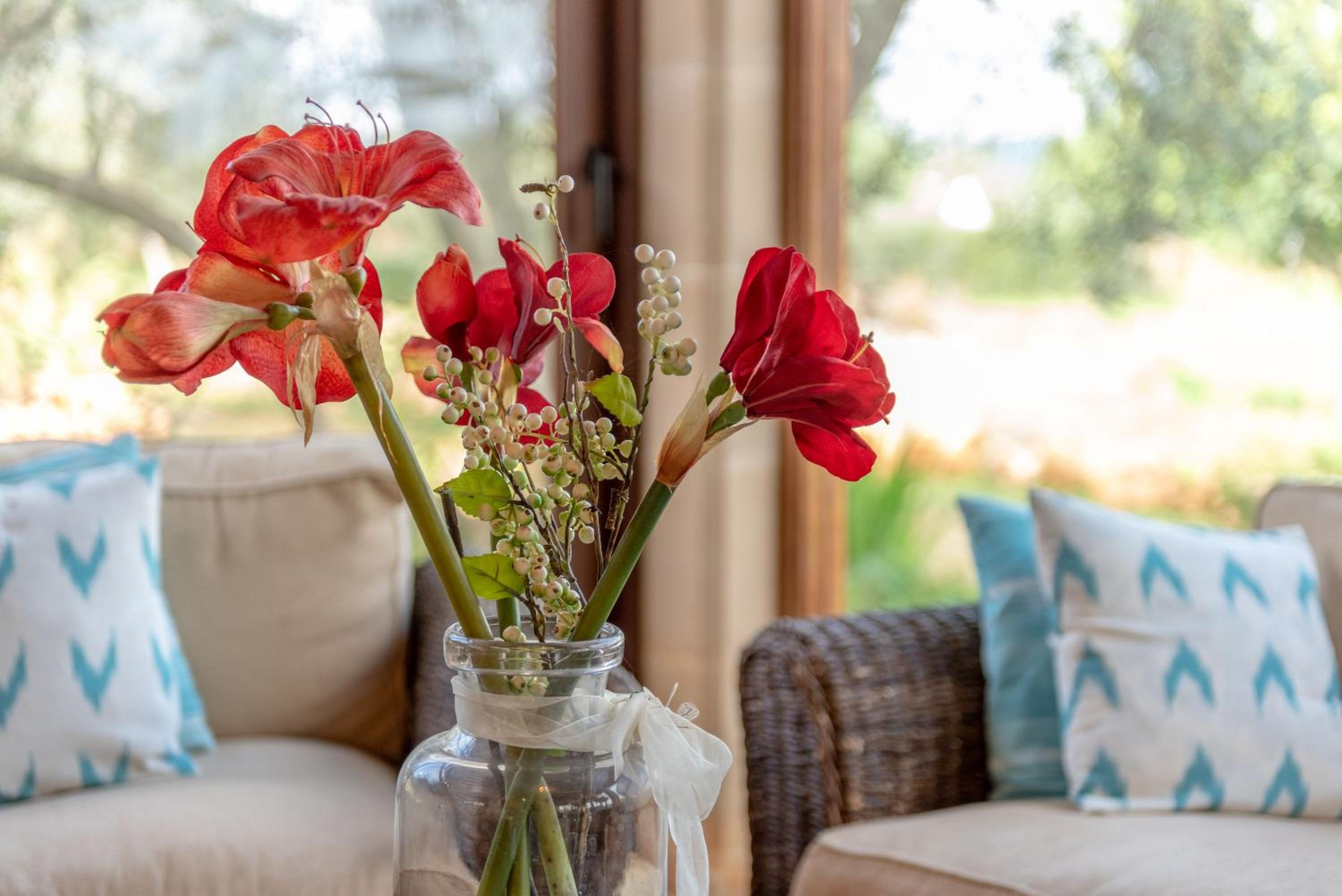 Son Draguet