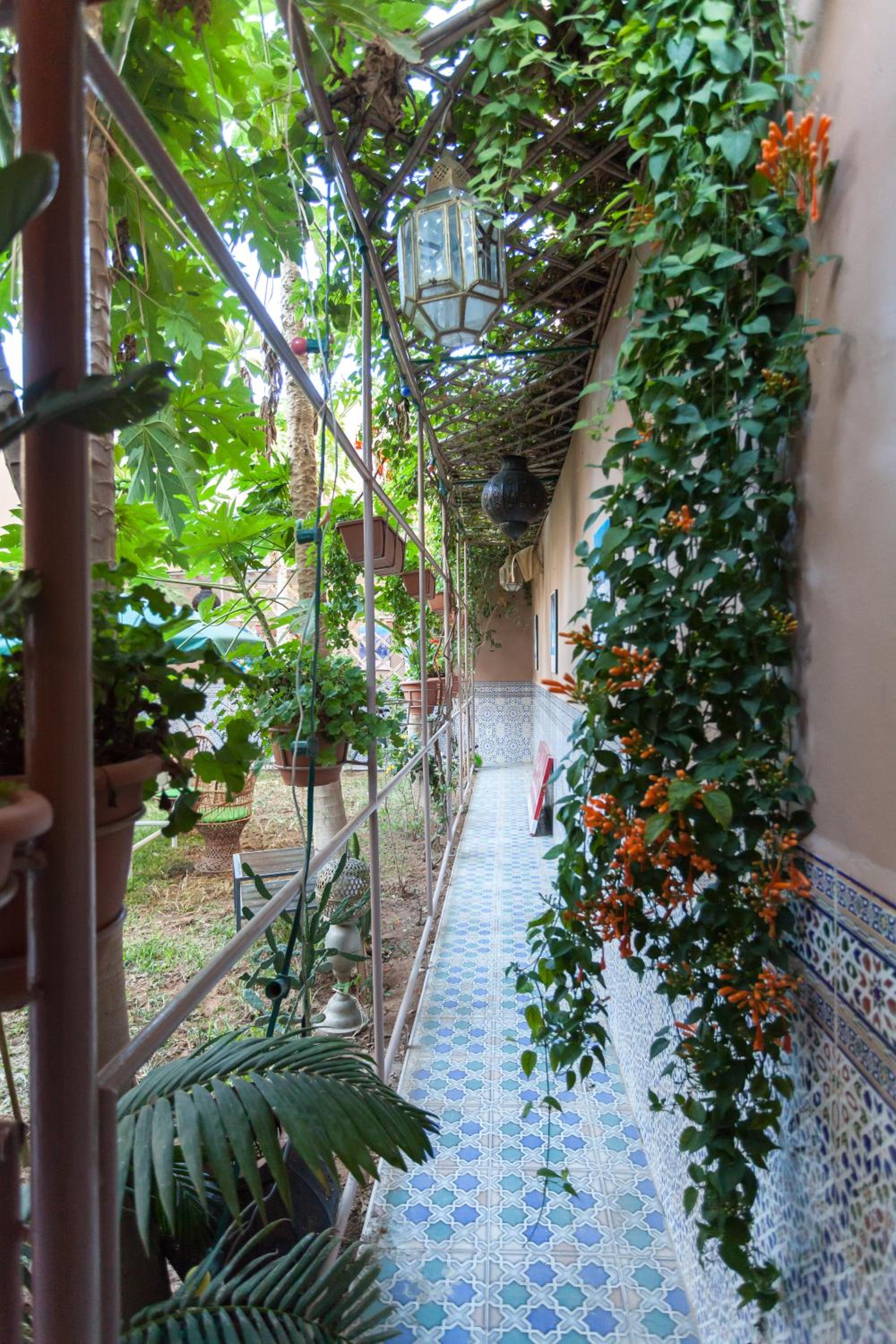 Riad Asma view 5