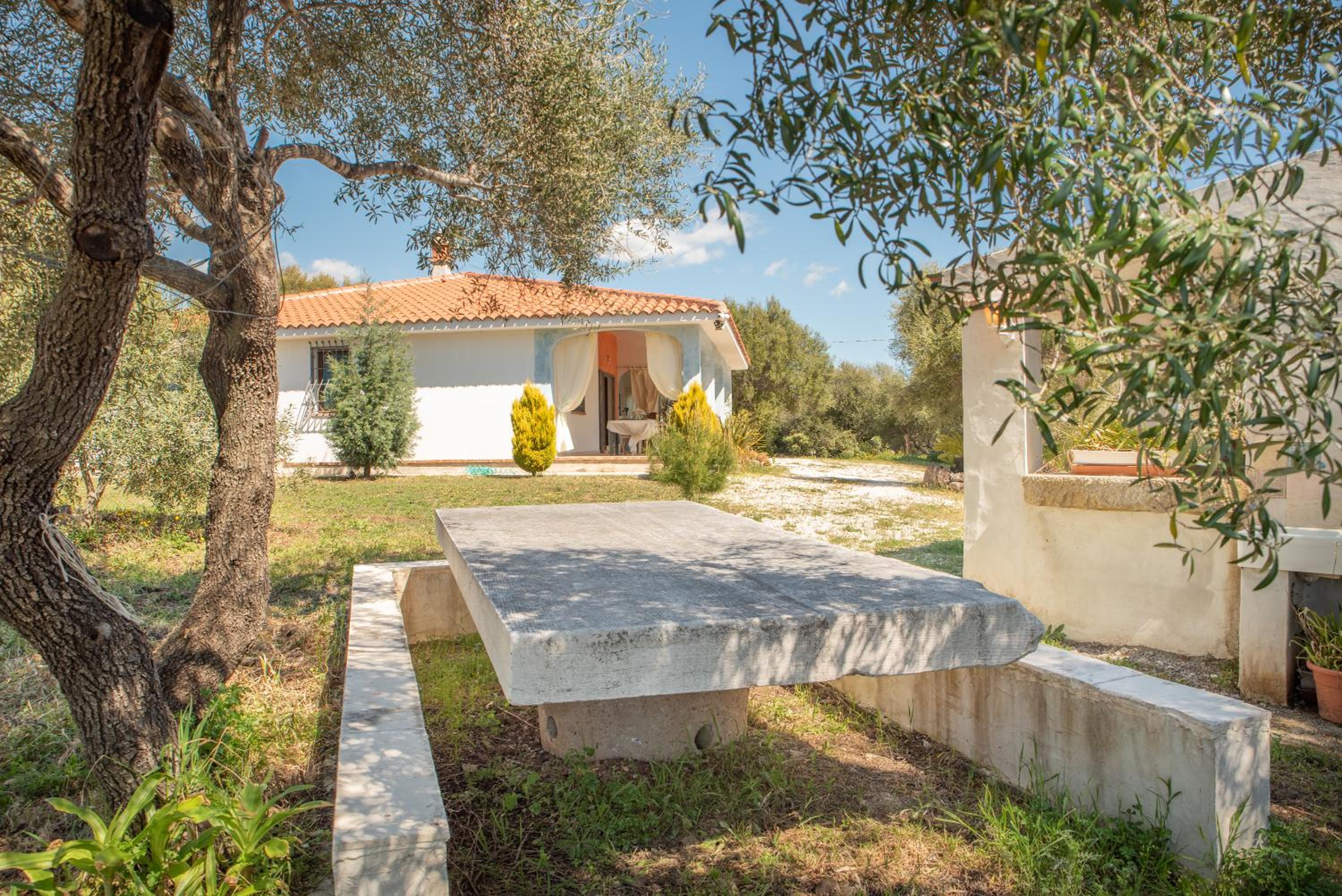 Sole view 5