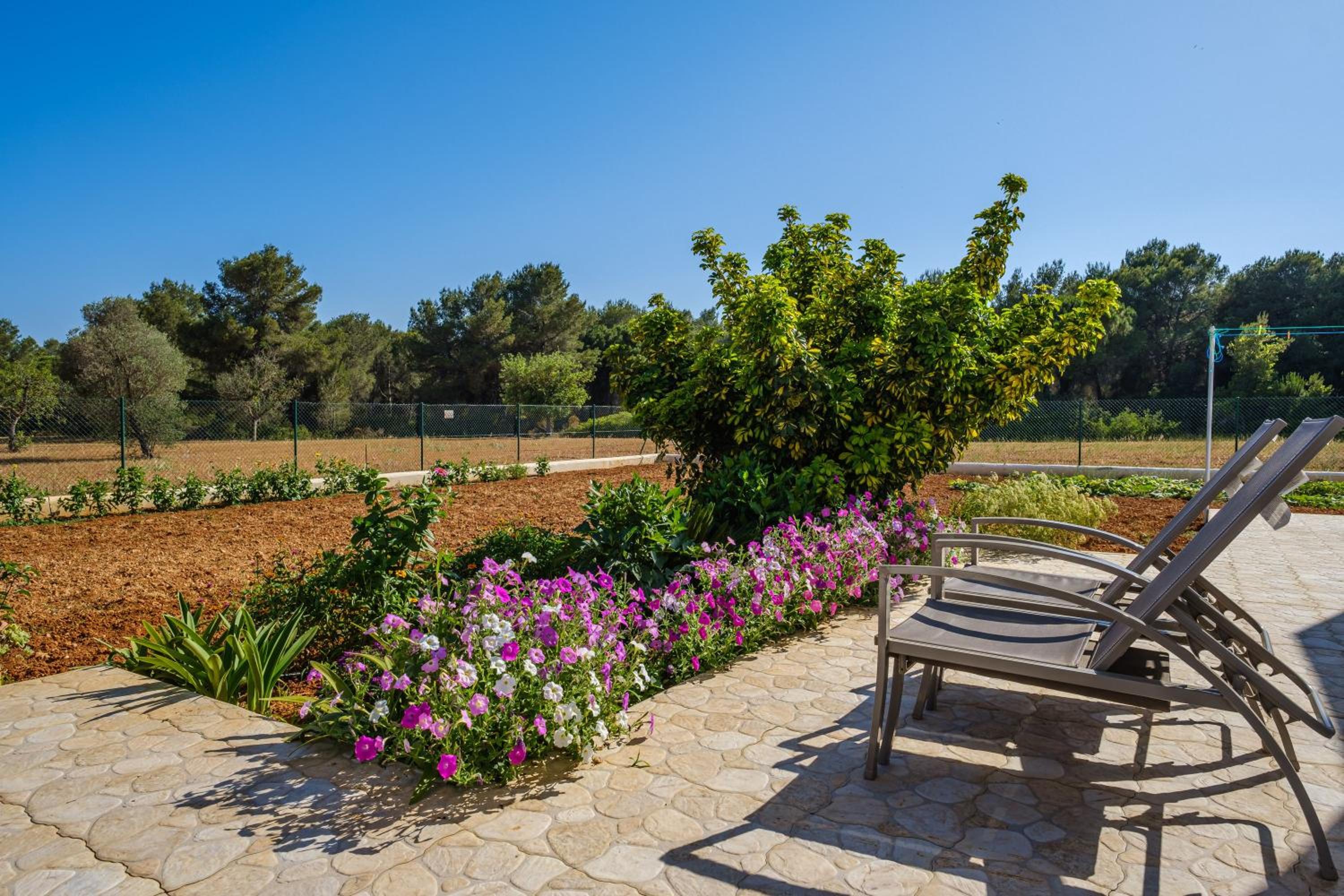 Casa Cristina Ibiza photo 4