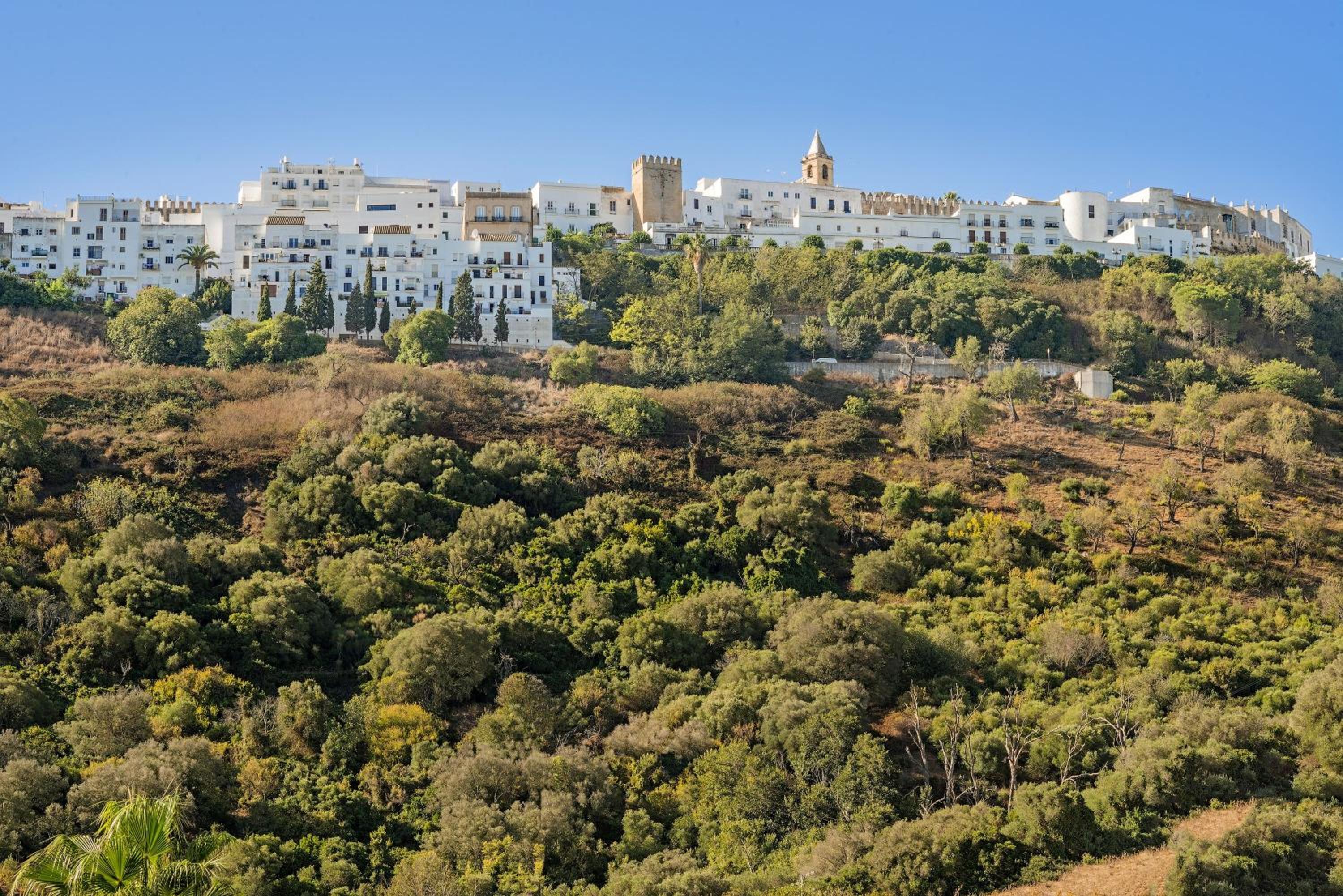 Apartamento Los Naranjos en Vejer view 4